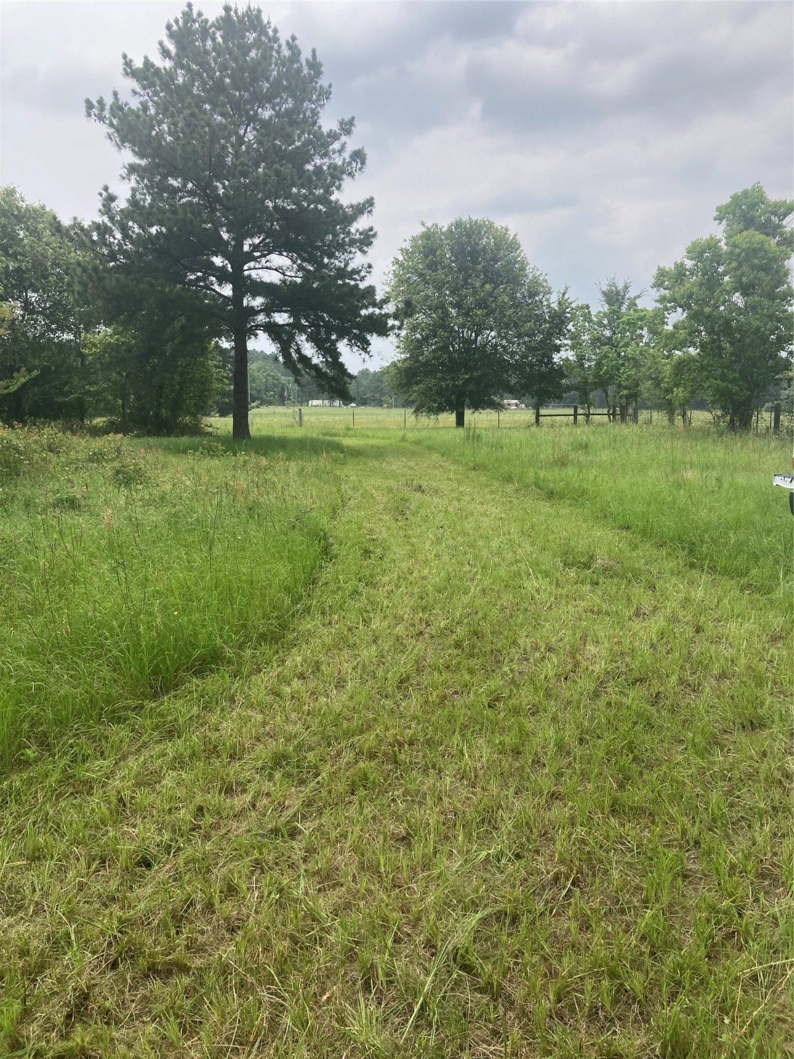 tbd Possum Walk Loop , Huntsville, TX, 77340 | 98505545 | Realty Texas LLC