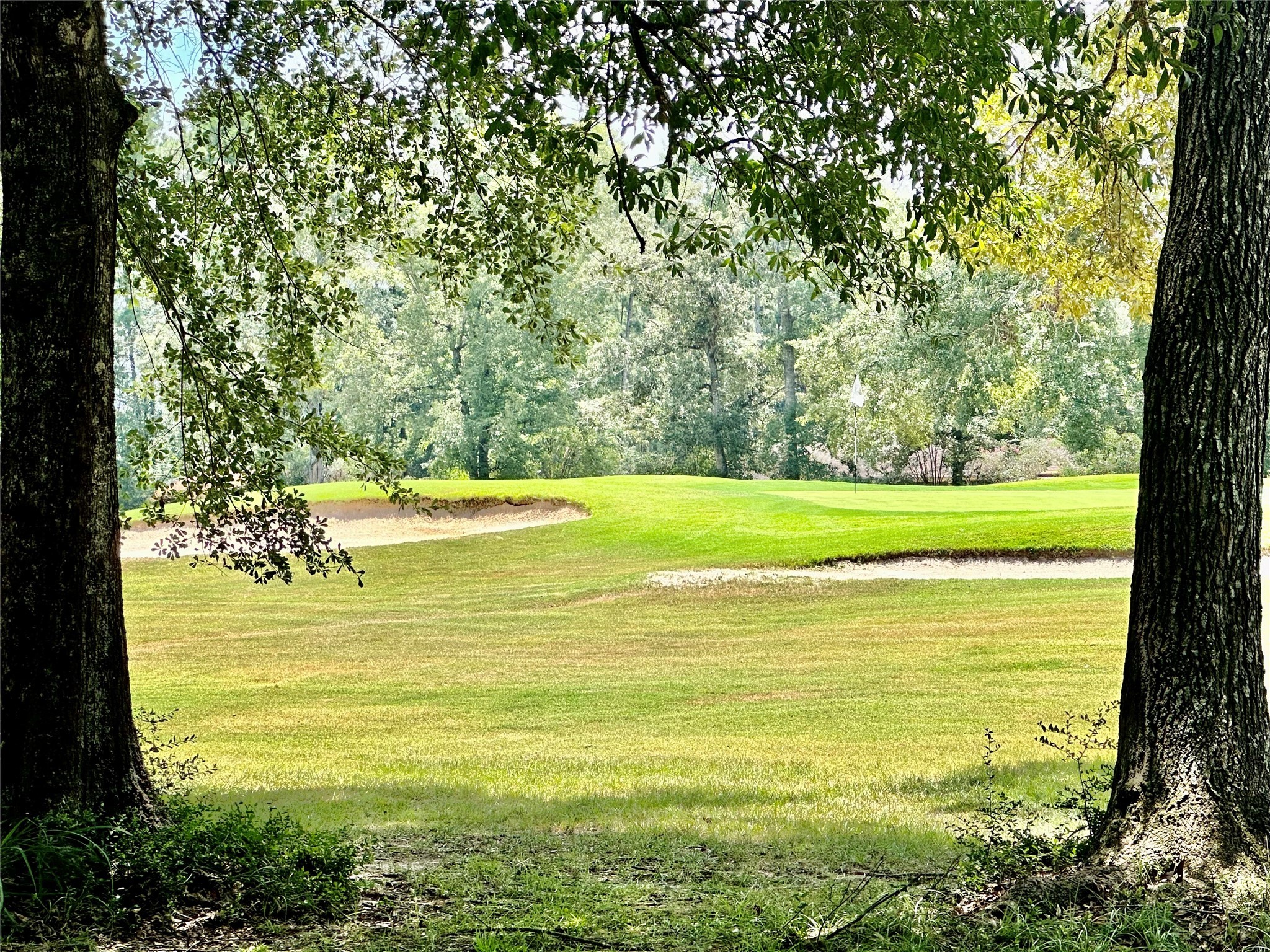 121 WHITE OAK , Village Mills, TX, 77663 | 75810700 | Realty Texas LLC