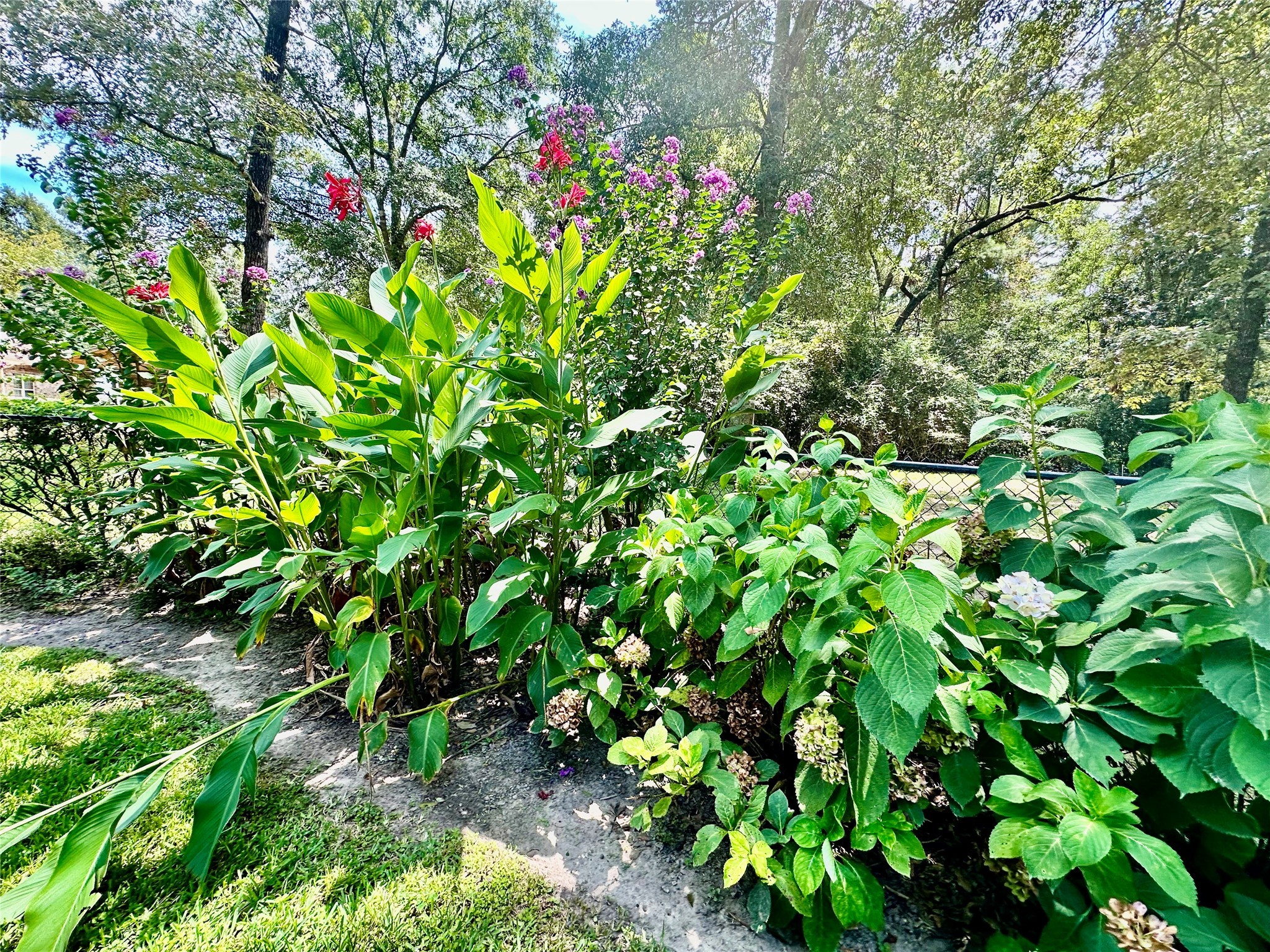 121 WHITE OAK , Village Mills, TX, 77663 | 75810700 | Realty Texas LLC