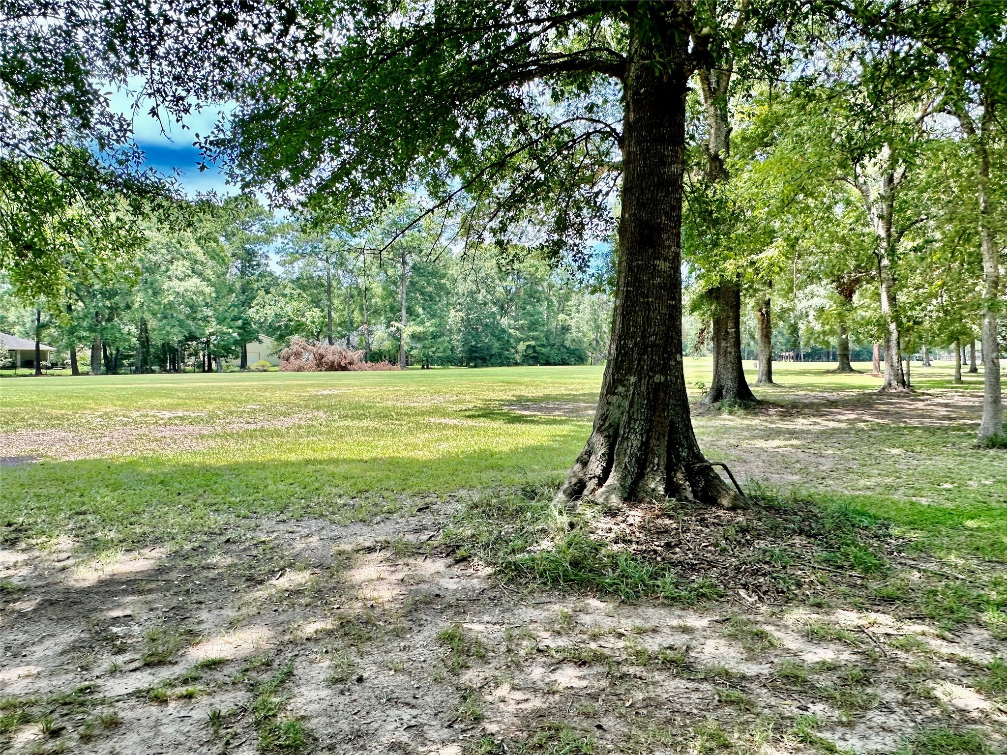 121 WHITE OAK , Village Mills, TX, 77663 | 75810700 | Realty Texas LLC