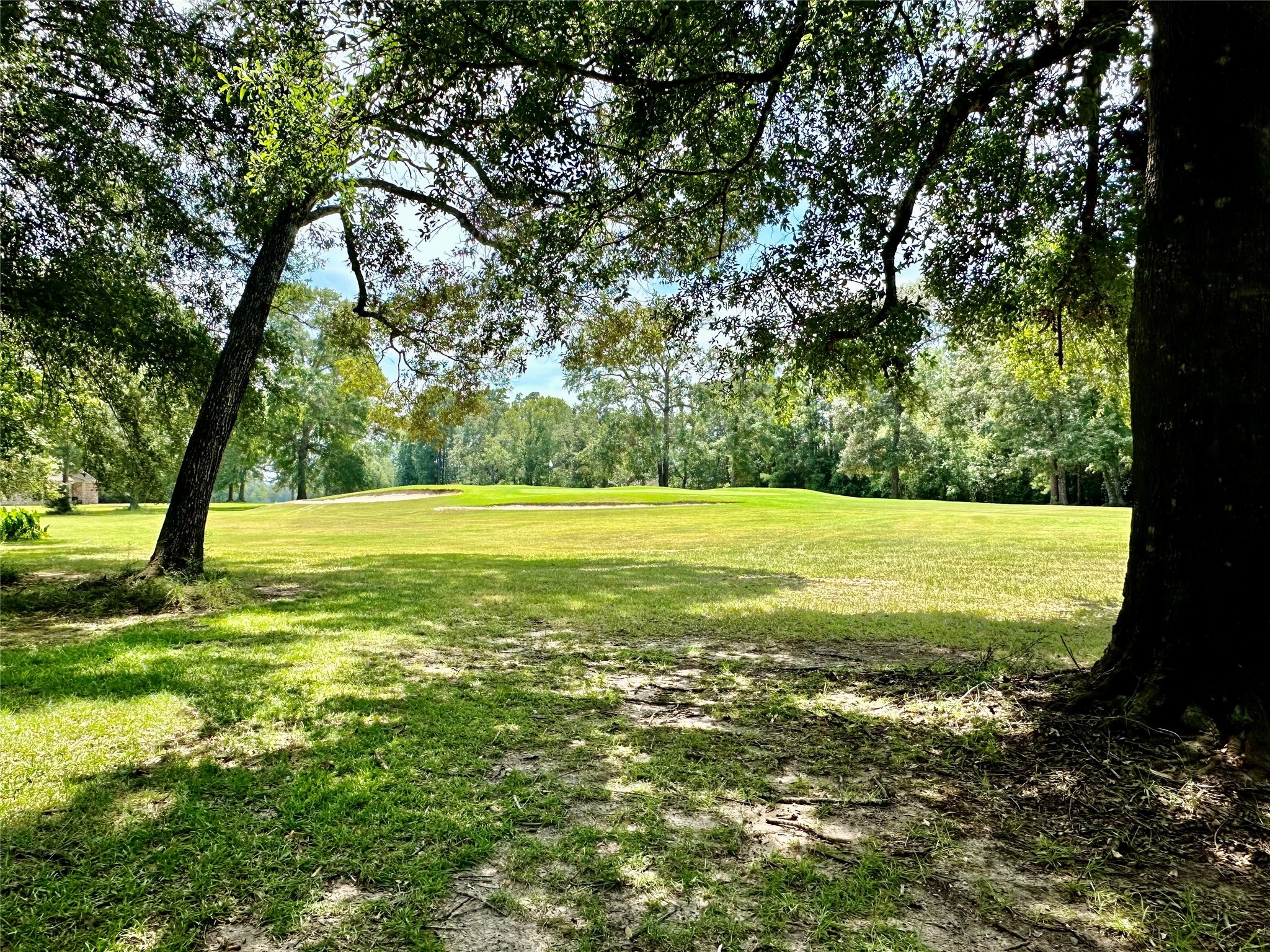 121 WHITE OAK , Village Mills, TX, 77663 | 75810700 | Realty Texas LLC