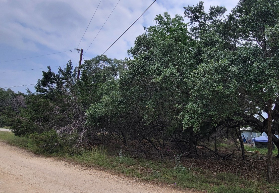 1391 Covered Wagon , Spring Branch, TX, 78070 | 8317127 | Realty Texas LLC