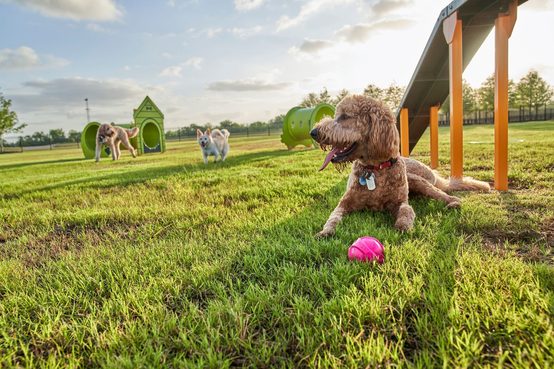 7735 Swooping Swallow Lane , Katy, TX, 77493 | 75369026 | Realty Texas LLC