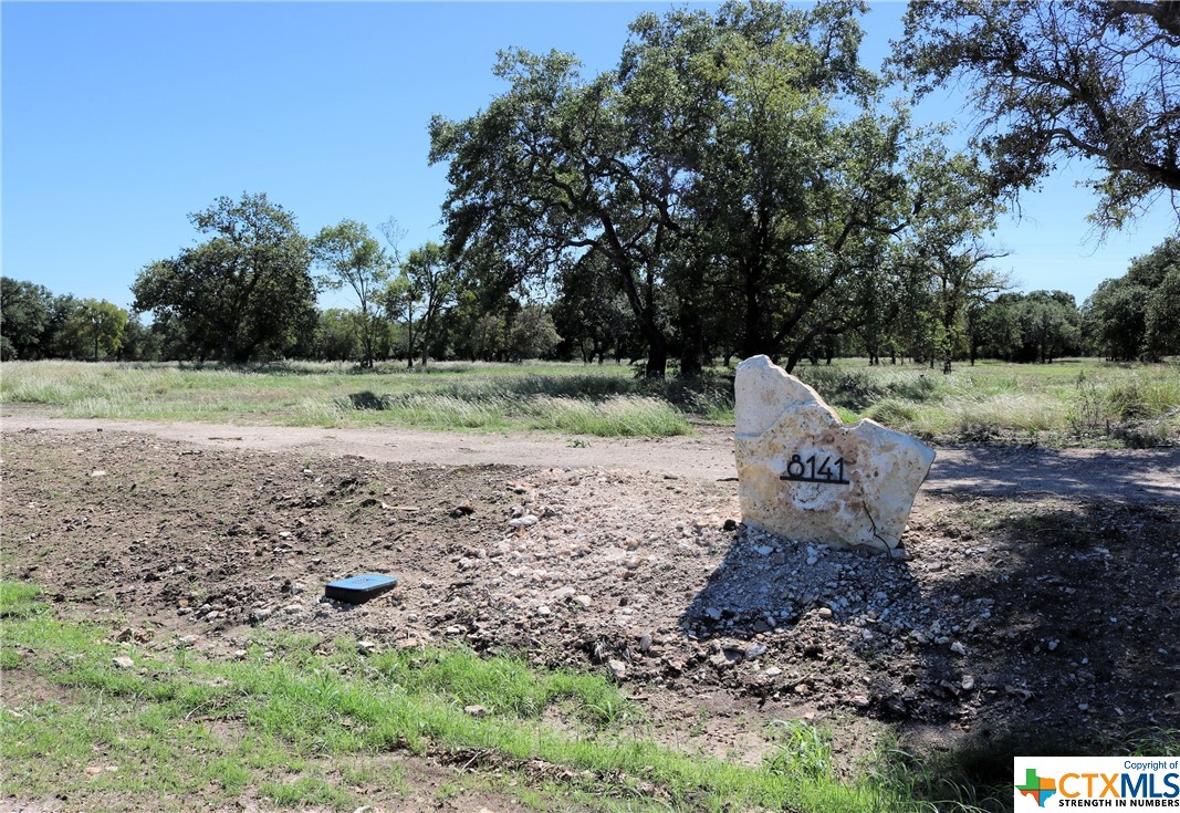 8141 Haley Court , Salado, TX, 76571 | 543439 | Realty Texas LLC