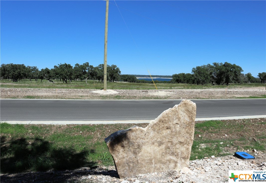 8141 Haley Court , Salado, TX, 76571 | 543439 | Realty Texas LLC