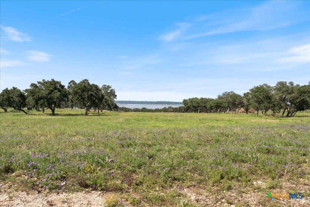 8141 Haley Court , Salado, TX, 76571 | 543439 | Realty Texas LLC
