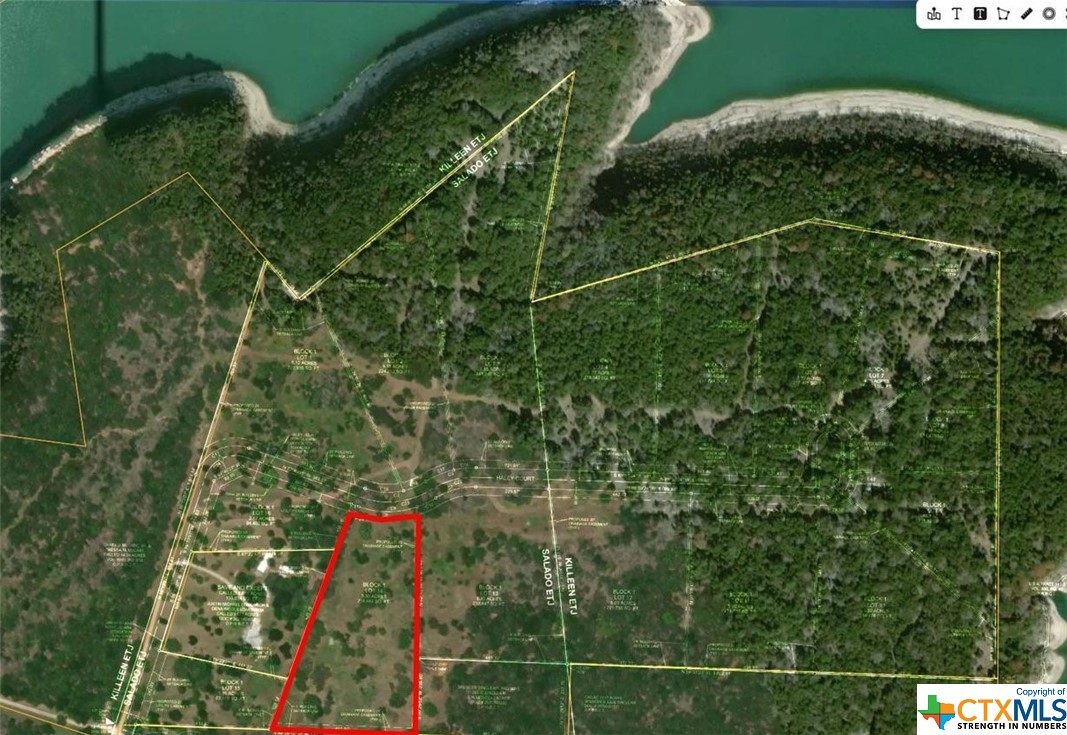 8141 Haley Court , Salado, TX, 76571 | 543439 | Realty Texas LLC