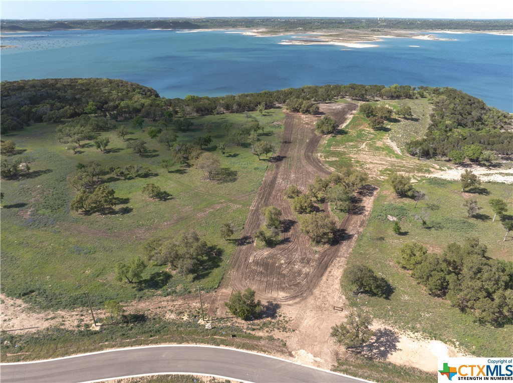 8141 Haley Court , Salado, TX, 76571 | 543439 | Realty Texas LLC