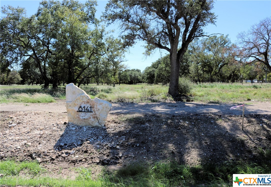 8141 Haley Court , Salado, TX, 76571 | 543439 | Realty Texas LLC