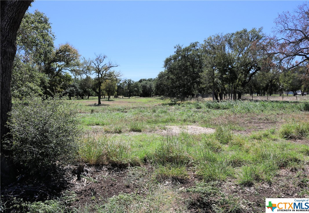 8141 Haley Court , Salado, TX, 76571 | 543439 | Realty Texas LLC