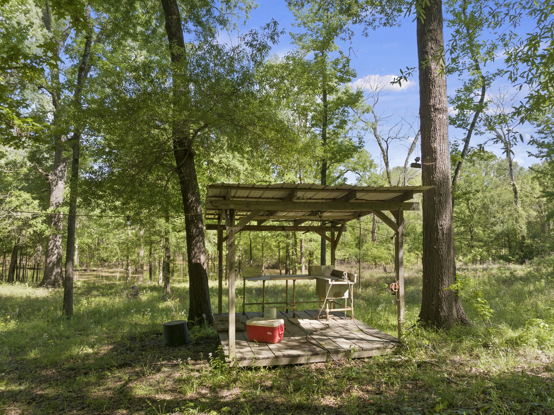 307 Fish TRAP Ln , Naples, TX, 75568 | 20607249 | Realty Texas LLC