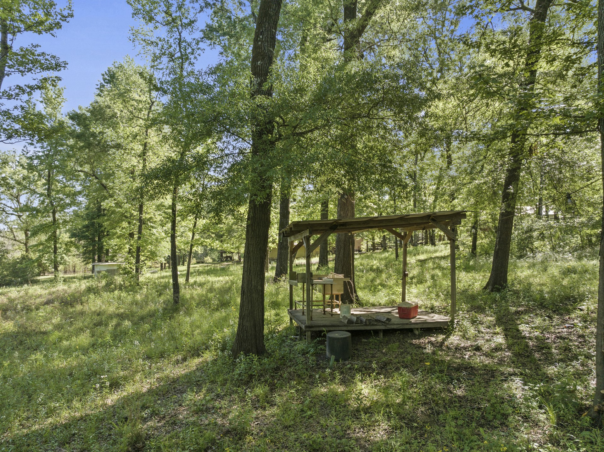 307 Fish TRAP Ln , Naples, TX, 75568 | 20607249 | Realty Texas LLC