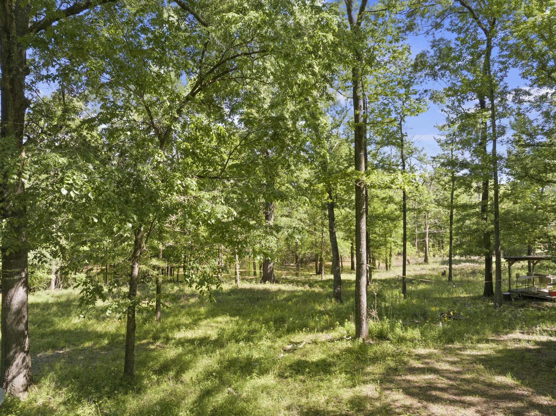 307 Fish TRAP Ln , Naples, TX, 75568 | 20607249 | Realty Texas LLC
