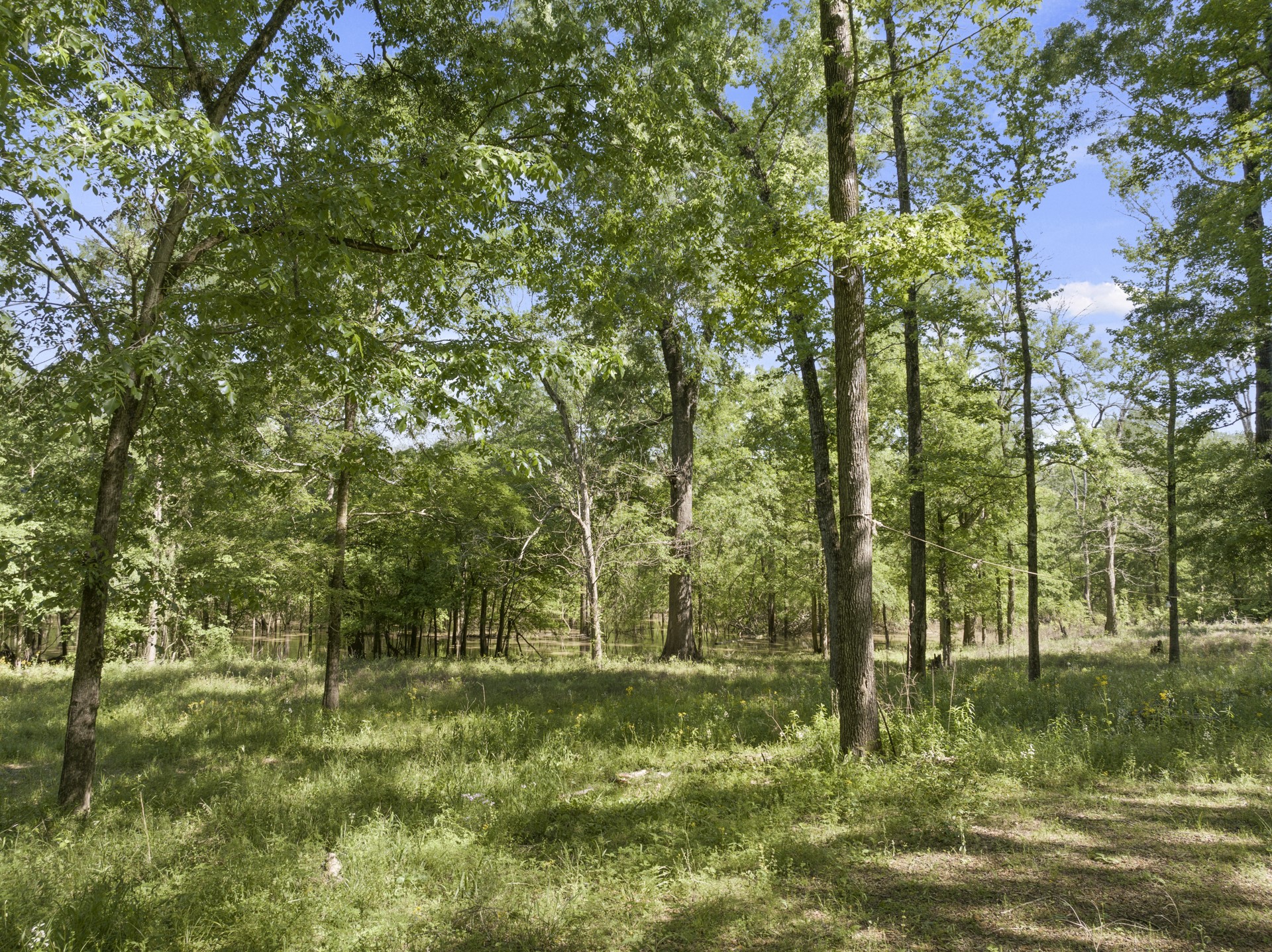 307 Fish TRAP Ln , Naples, TX, 75568 | 20607249 | Realty Texas LLC