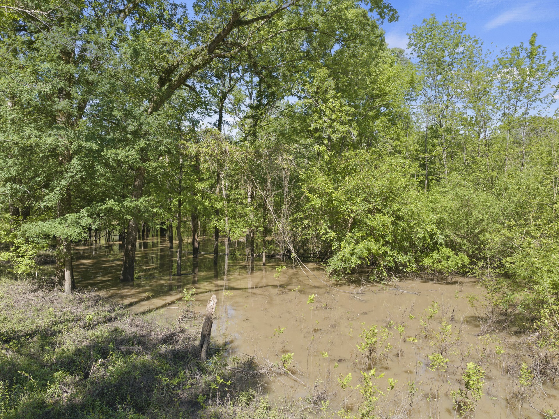307 Fish TRAP Ln , Naples, TX, 75568 | 20607249 | Realty Texas LLC