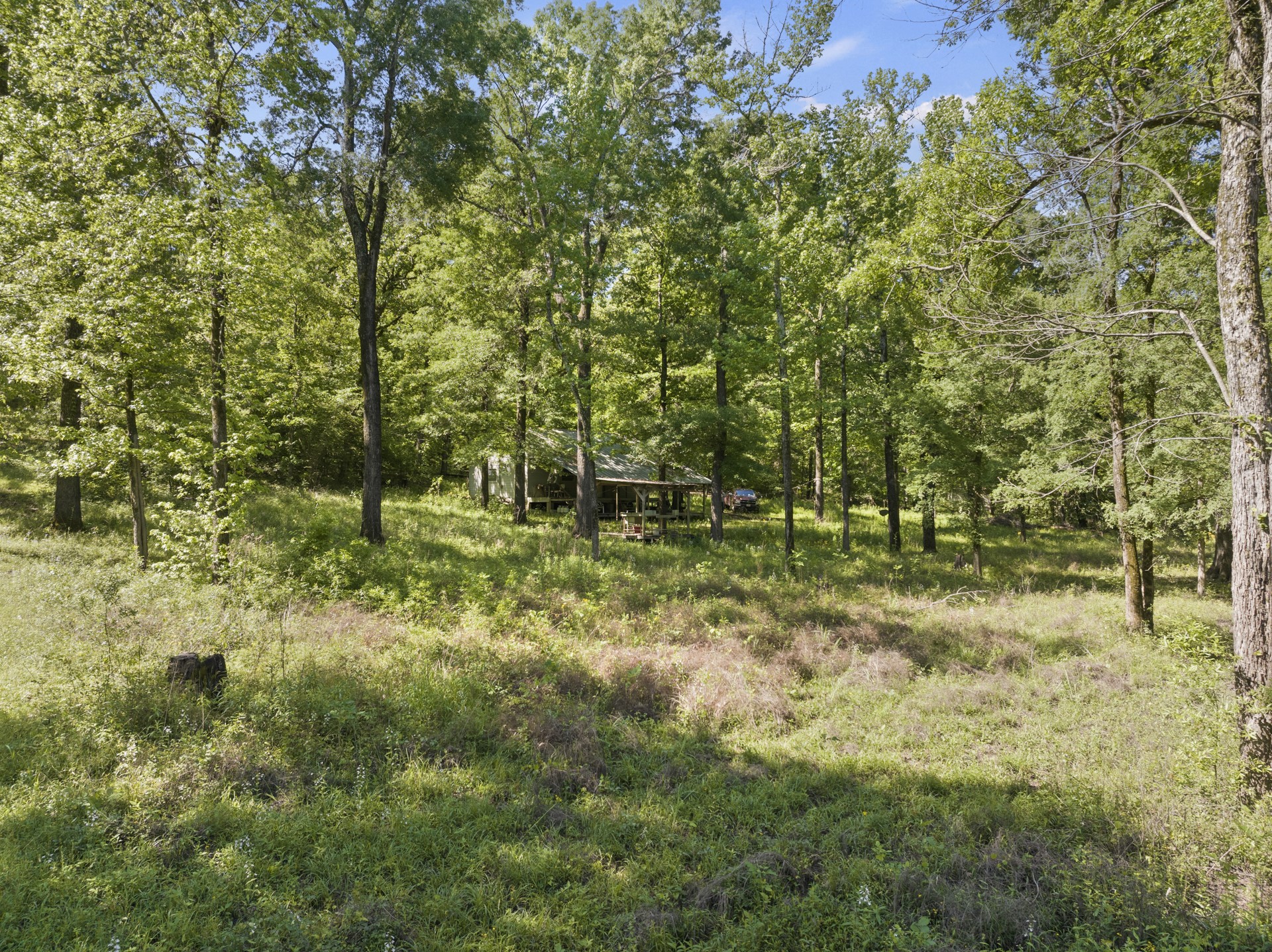 307 Fish TRAP Ln , Naples, TX, 75568 | 20607249 | Realty Texas LLC