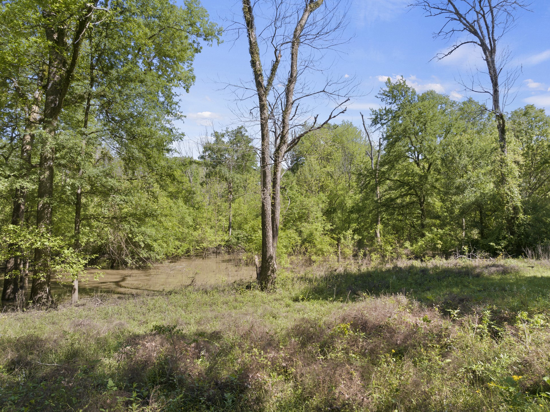 307 Fish TRAP Ln , Naples, TX, 75568 | 20607249 | Realty Texas LLC