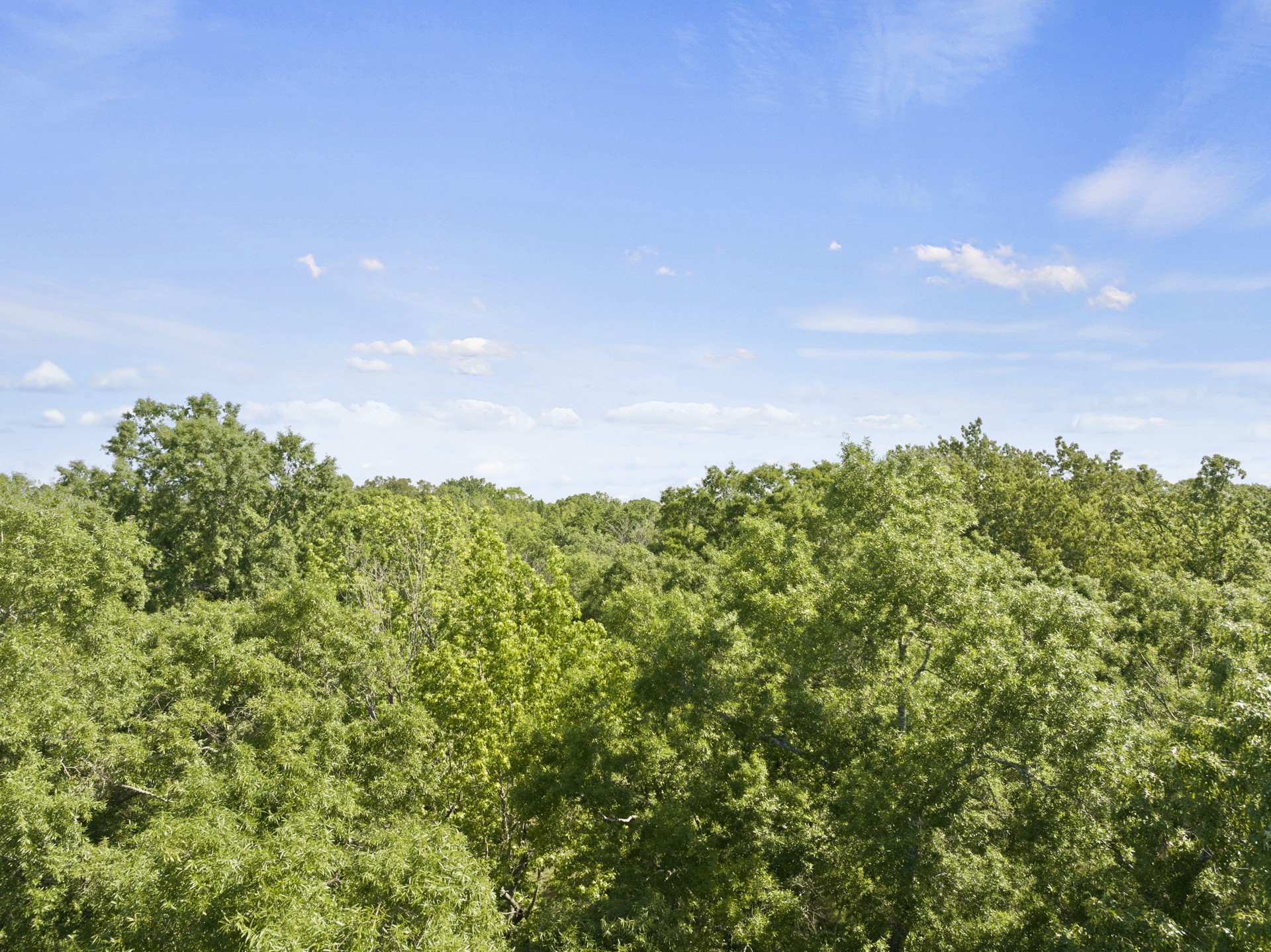307 Fish TRAP Ln , Naples, TX, 75568 | 20607249 | Realty Texas LLC