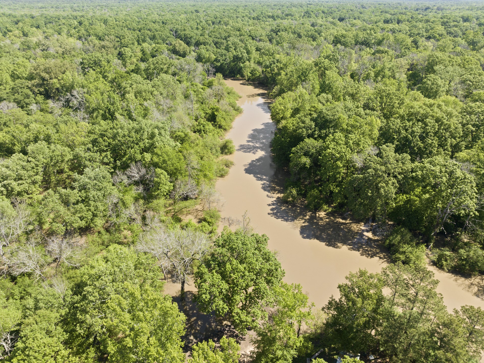 307 Fish TRAP Ln , Naples, TX, 75568 | 20607249 | Realty Texas LLC