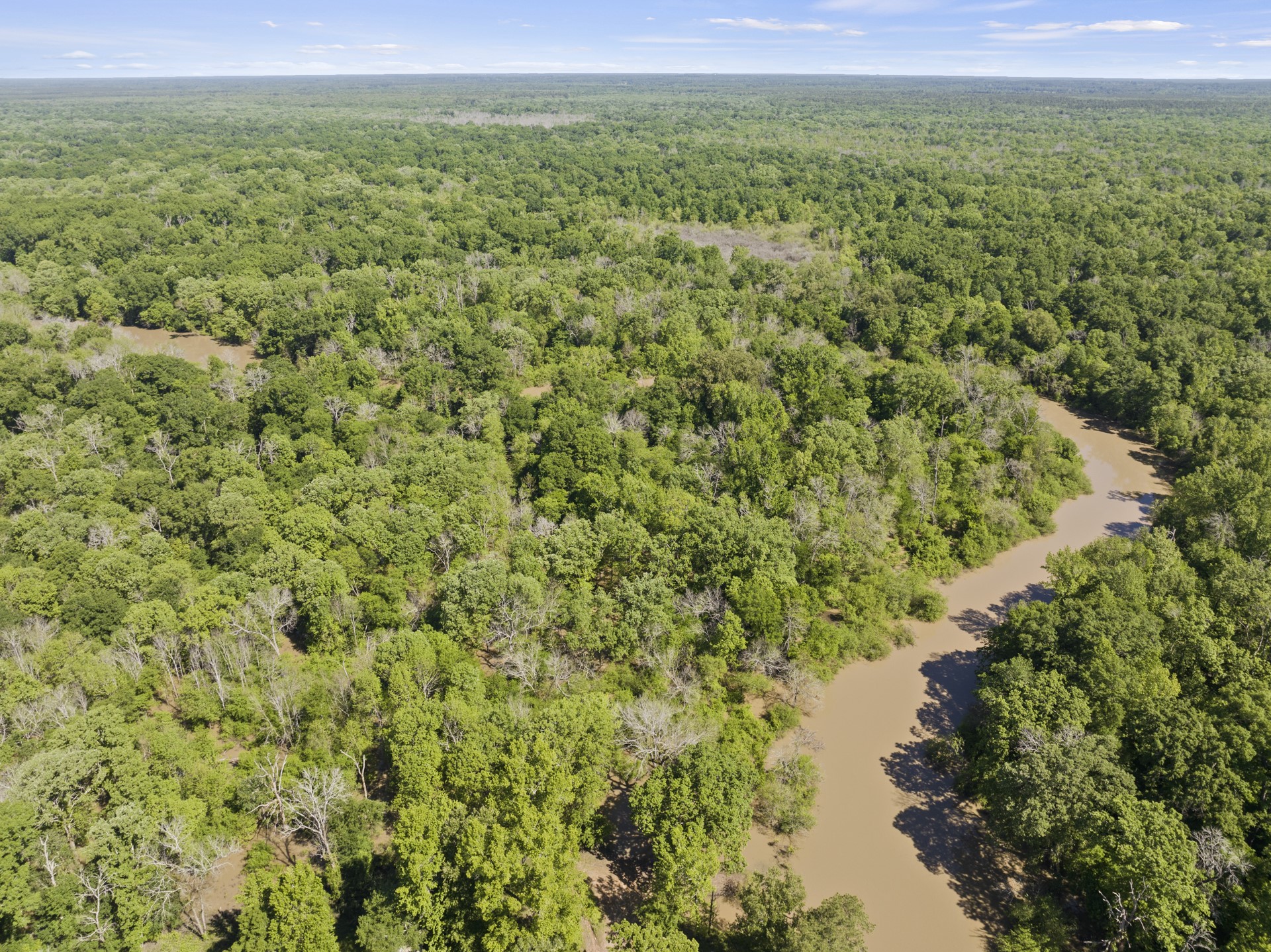 307 Fish TRAP Ln , Naples, TX, 75568 | 20607249 | Realty Texas LLC