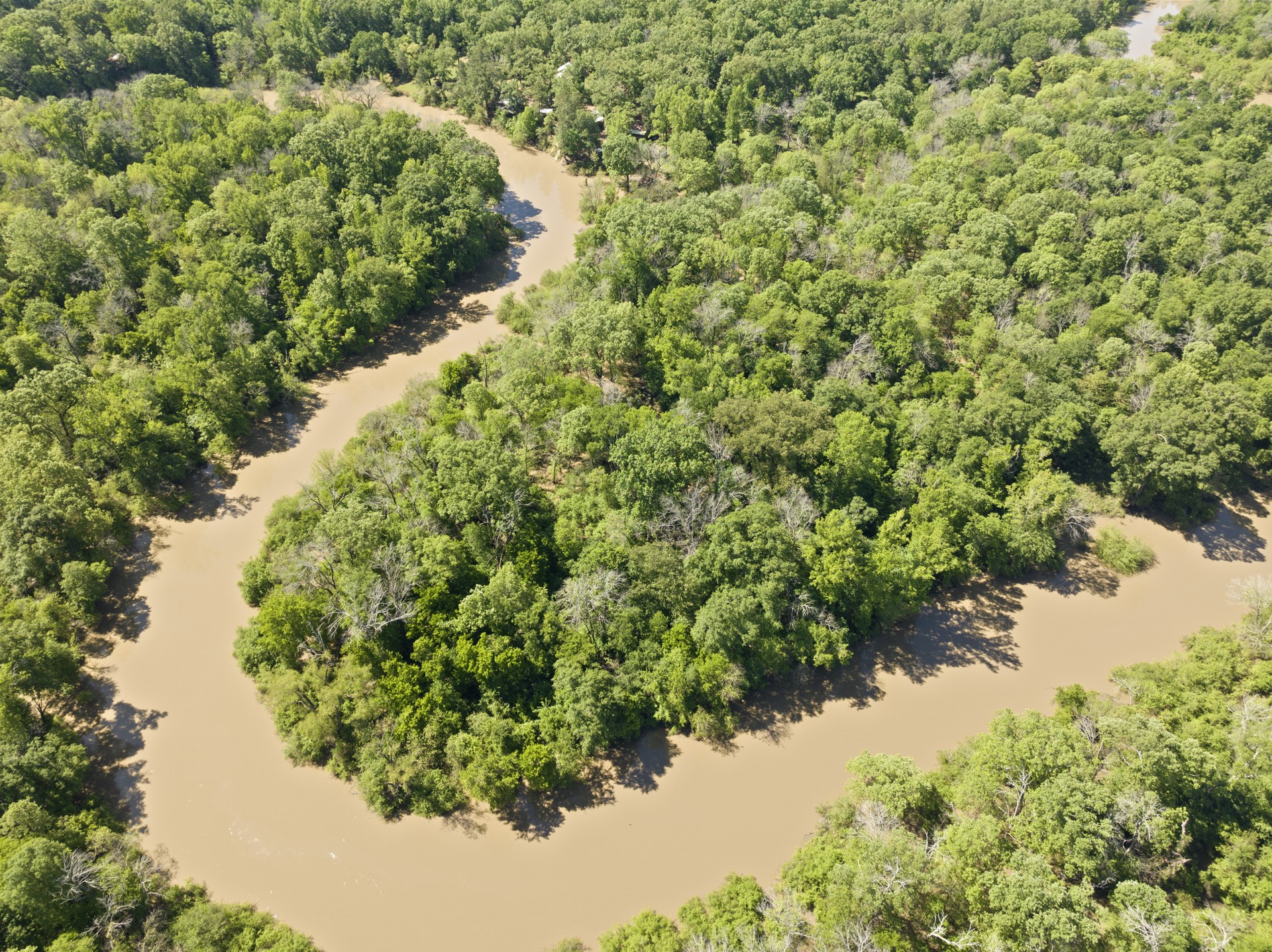 307 Fish TRAP Ln , Naples, TX, 75568 | 20607249 | Realty Texas LLC