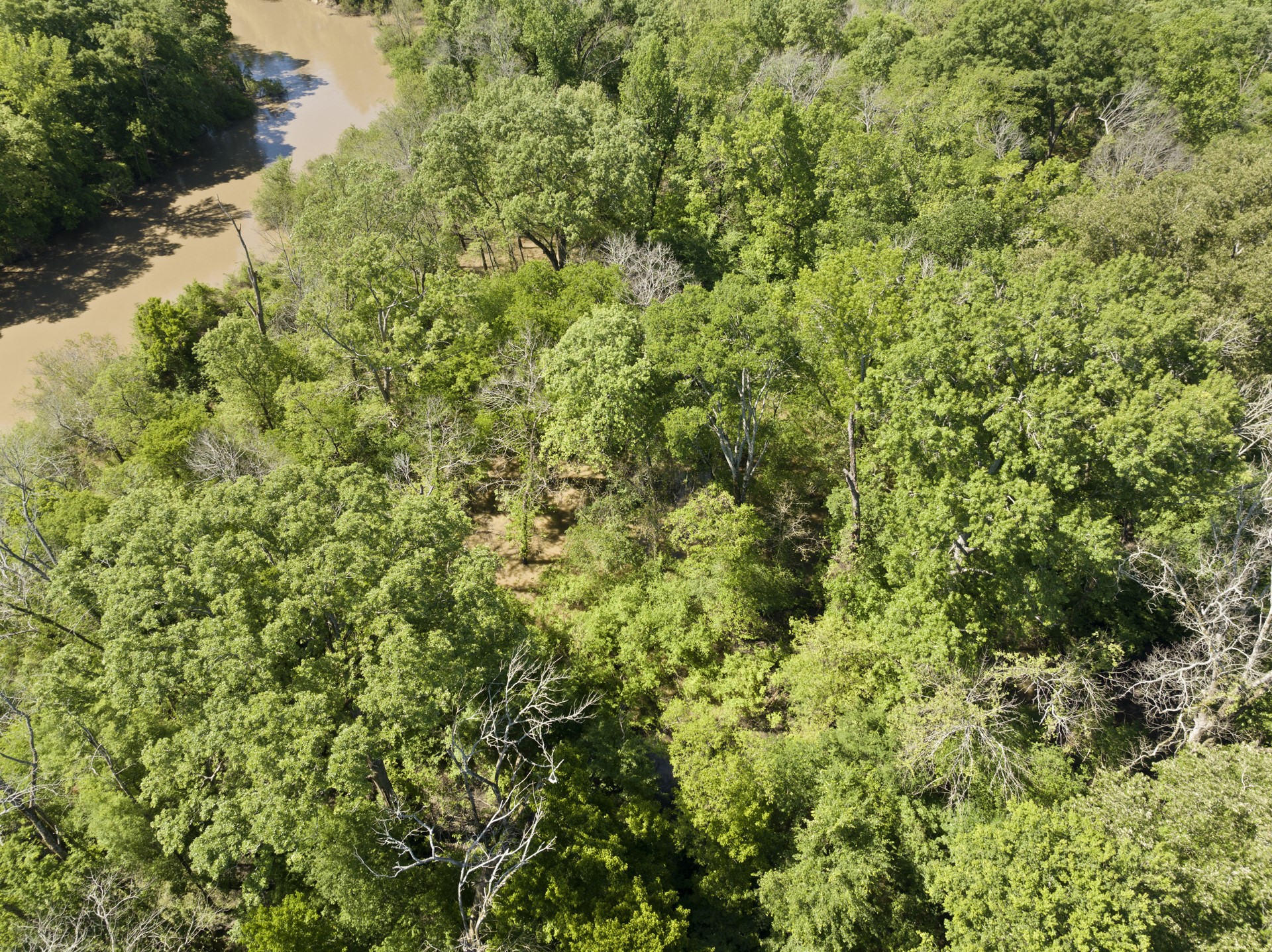 307 Fish TRAP Ln , Naples, TX, 75568 | 20607249 | Realty Texas LLC