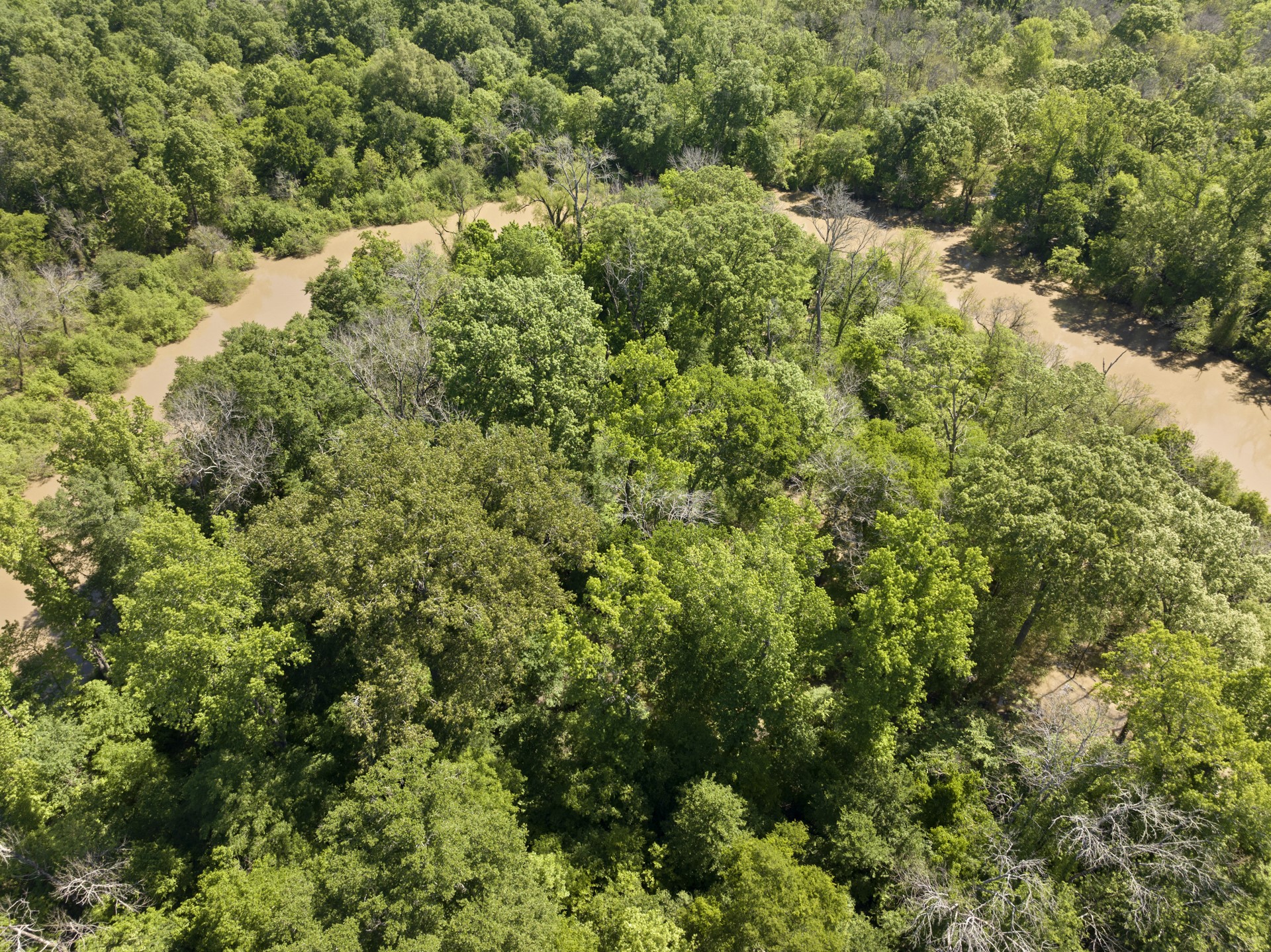 307 Fish TRAP Ln , Naples, TX, 75568 | 20607249 | Realty Texas LLC