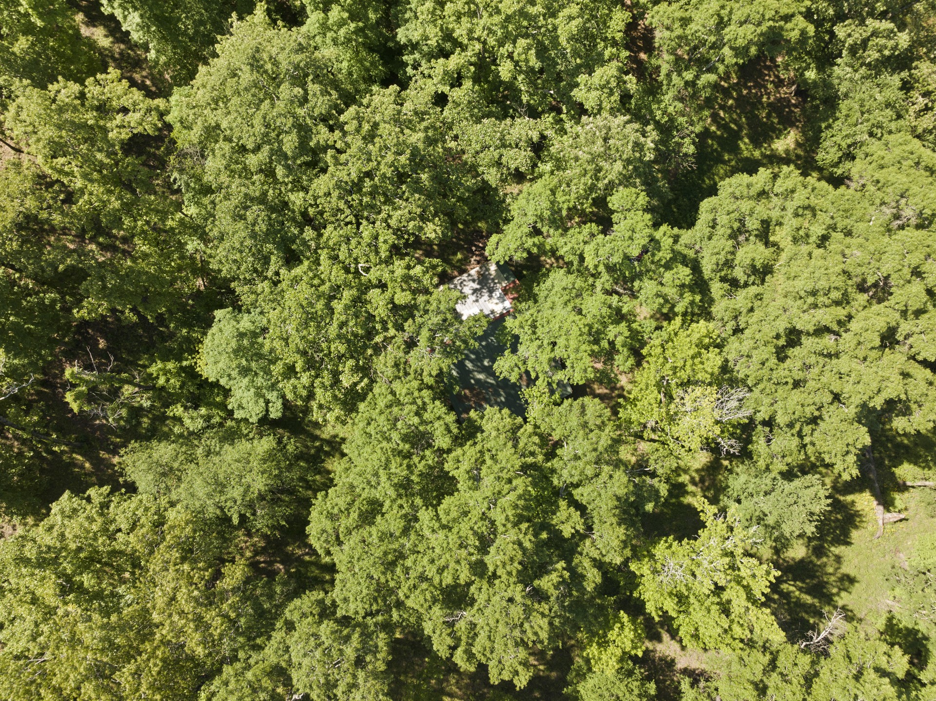 307 Fish TRAP Ln , Naples, TX, 75568 | 20607249 | Realty Texas LLC