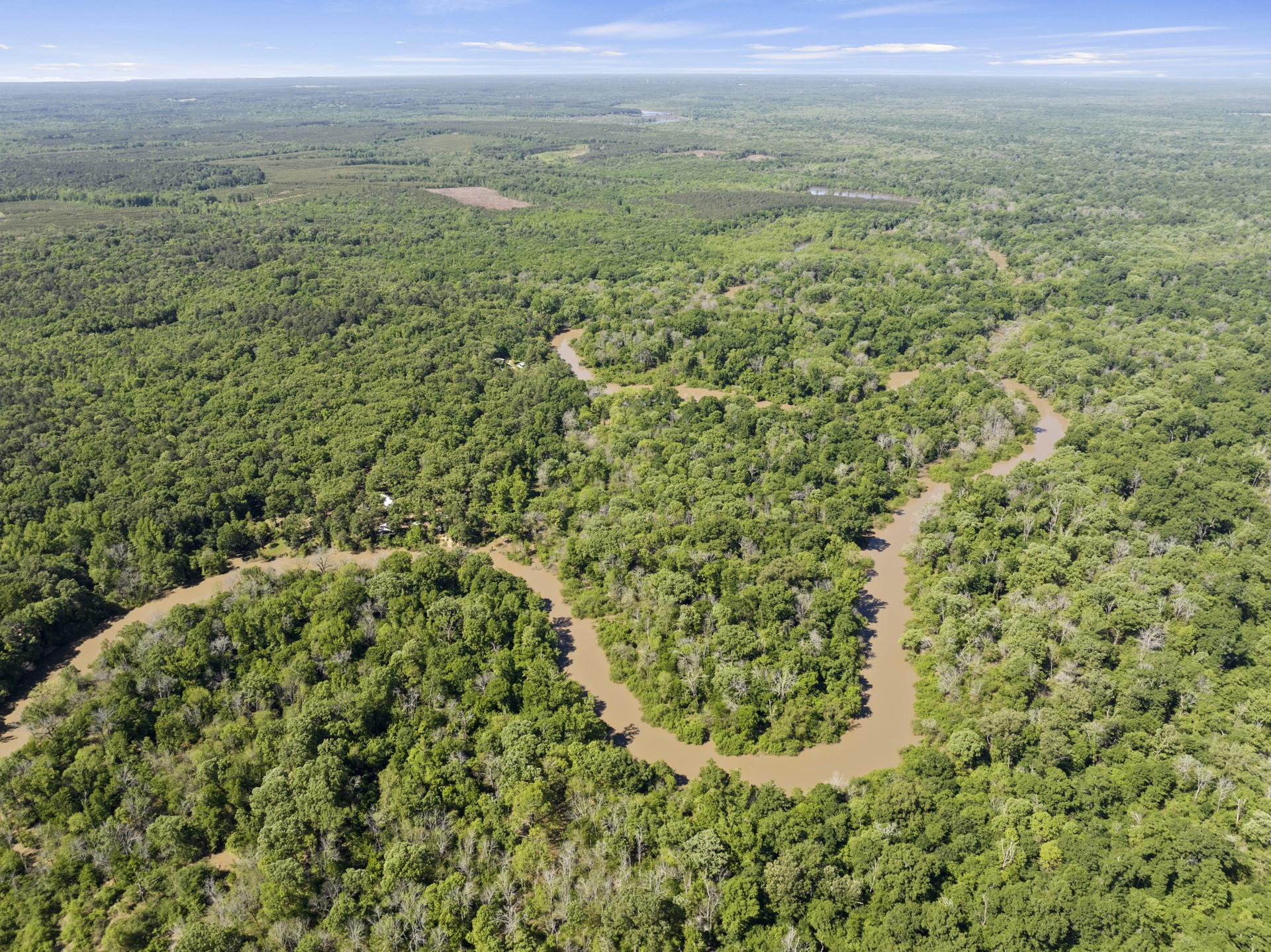 307 Fish TRAP Ln , Naples, TX, 75568 | 20607249 | Realty Texas LLC