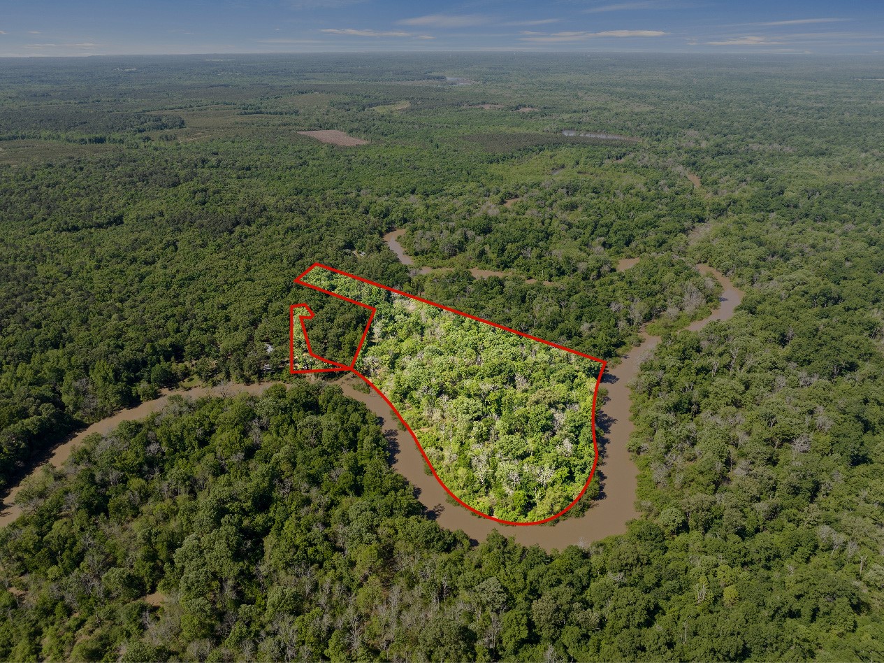 307 Fish TRAP Ln , Naples, TX, 75568 | 20607249 | Realty Texas LLC