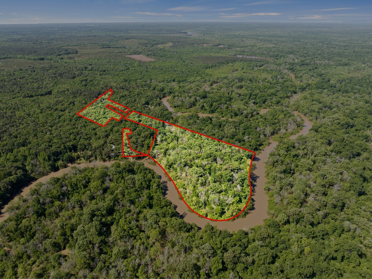 307 Fish TRAP Ln , Naples, TX, 75568 | 20607249 | Realty Texas LLC