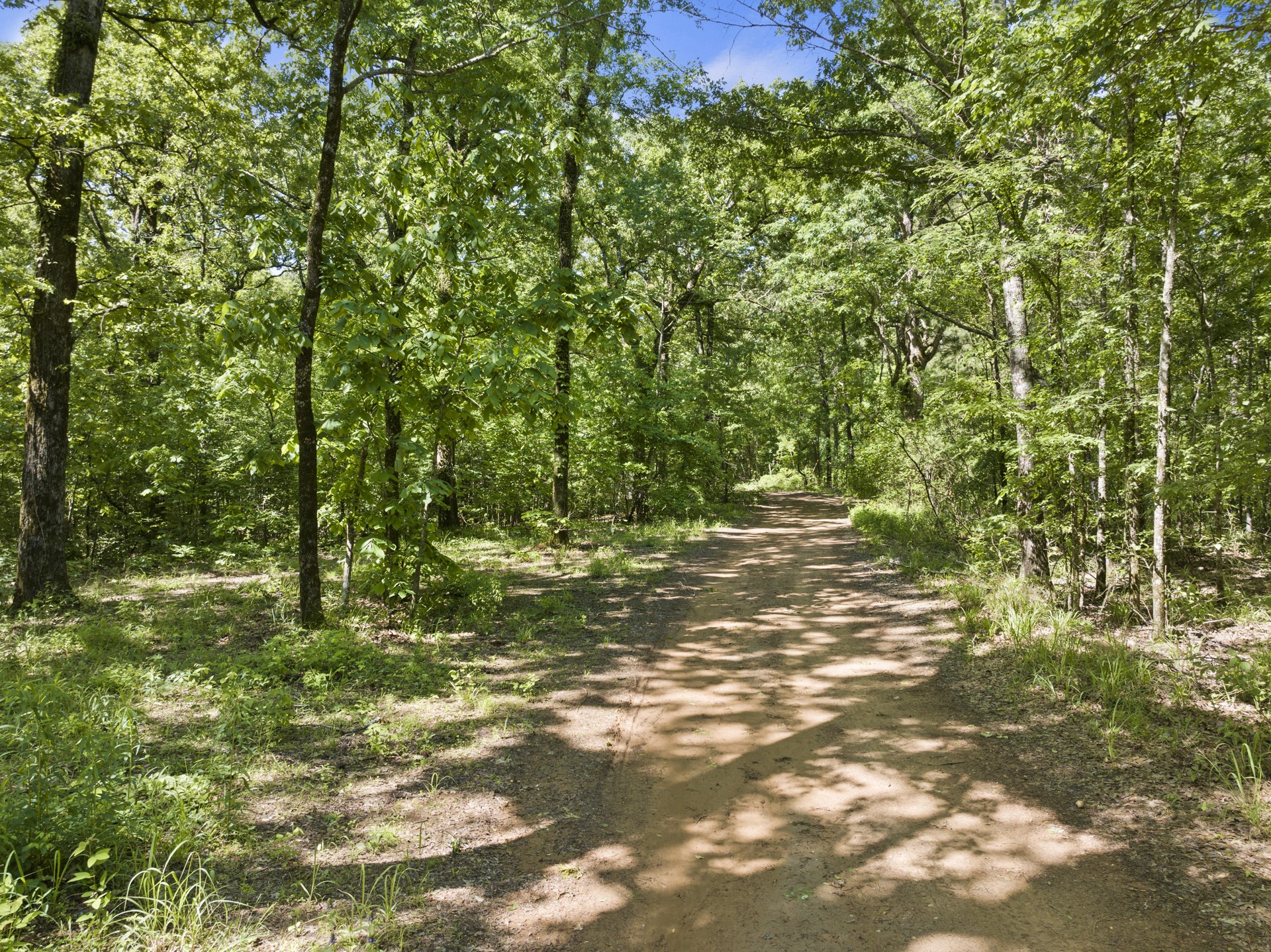 307 Fish TRAP Ln , Naples, TX, 75568 | 20607249 | Realty Texas LLC