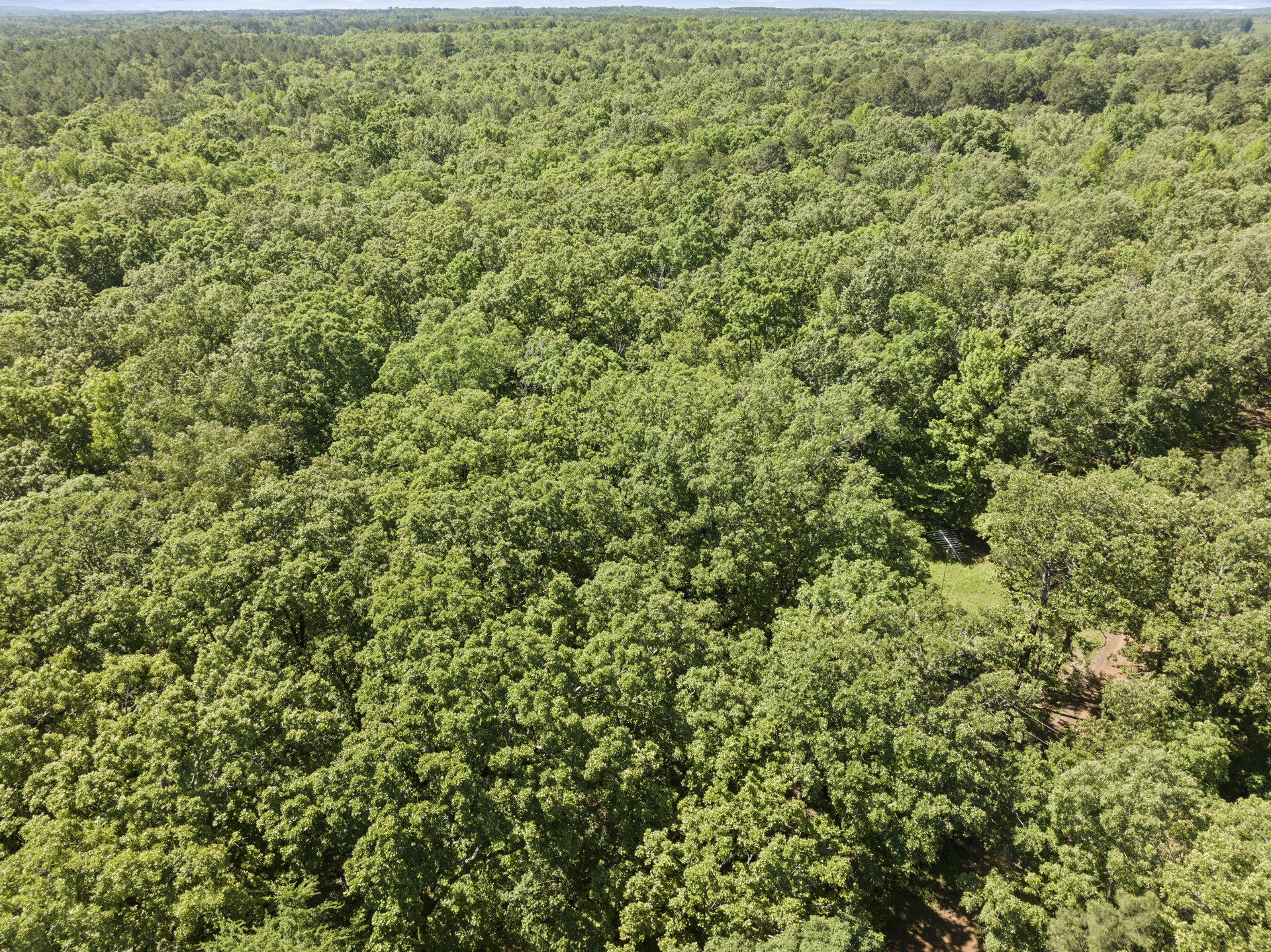 307 Fish TRAP Ln , Naples, TX, 75568 | 20607249 | Realty Texas LLC