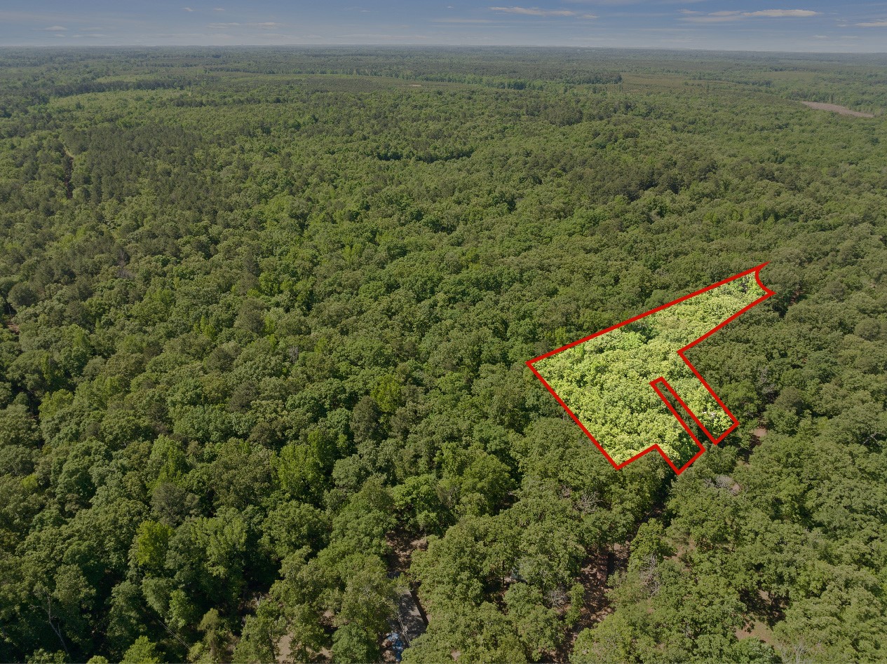 307 Fish TRAP Ln , Naples, TX, 75568 | 20607249 | Realty Texas LLC