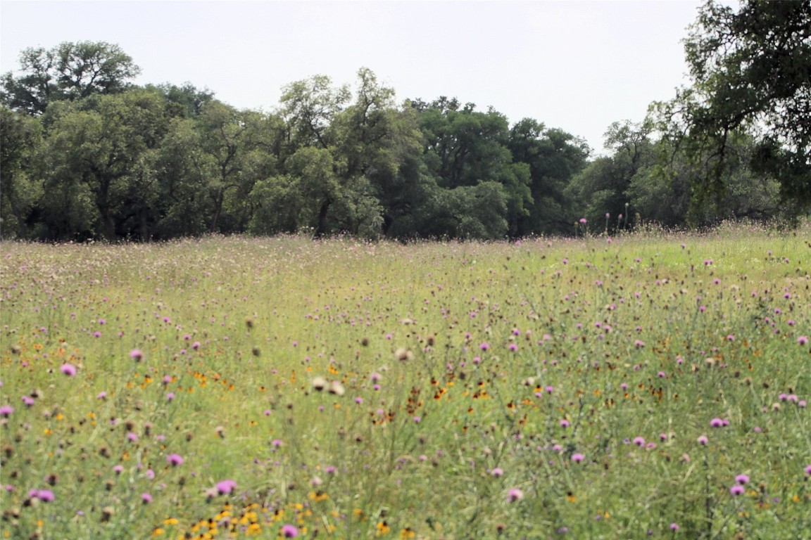 8117 Haley Court , Salado, TX, 76571 | 1266998 | Realty Texas LLC