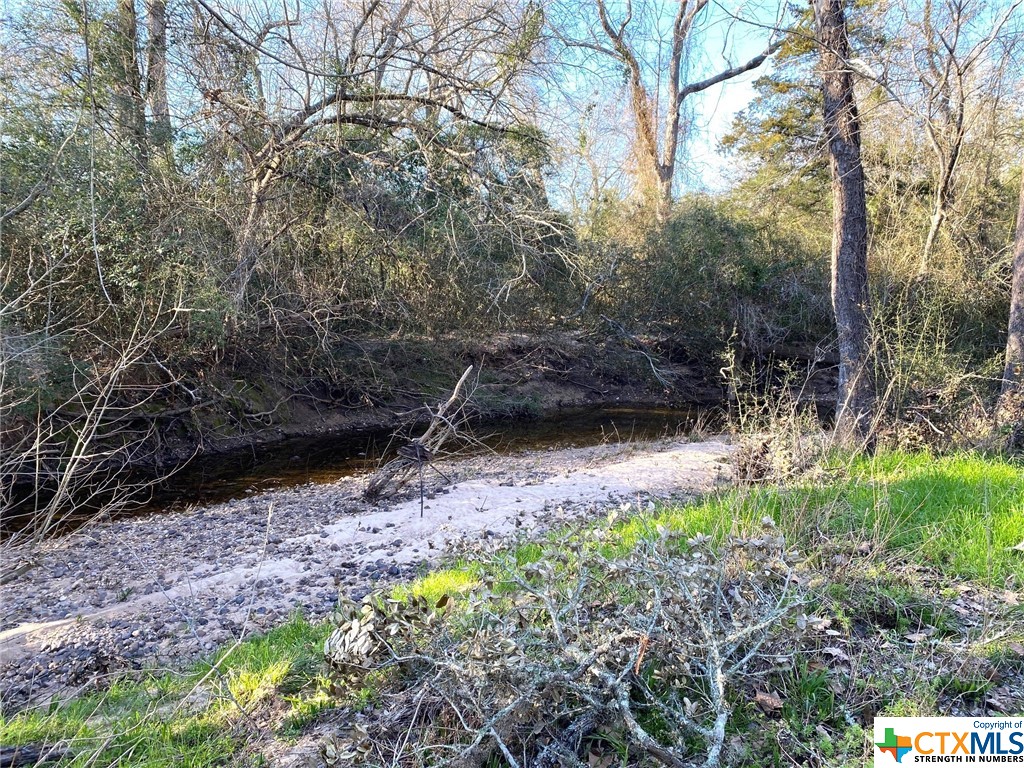 1180 FM 806 , Columbus, TX, 78934 | 540828 | Realty Texas LLC