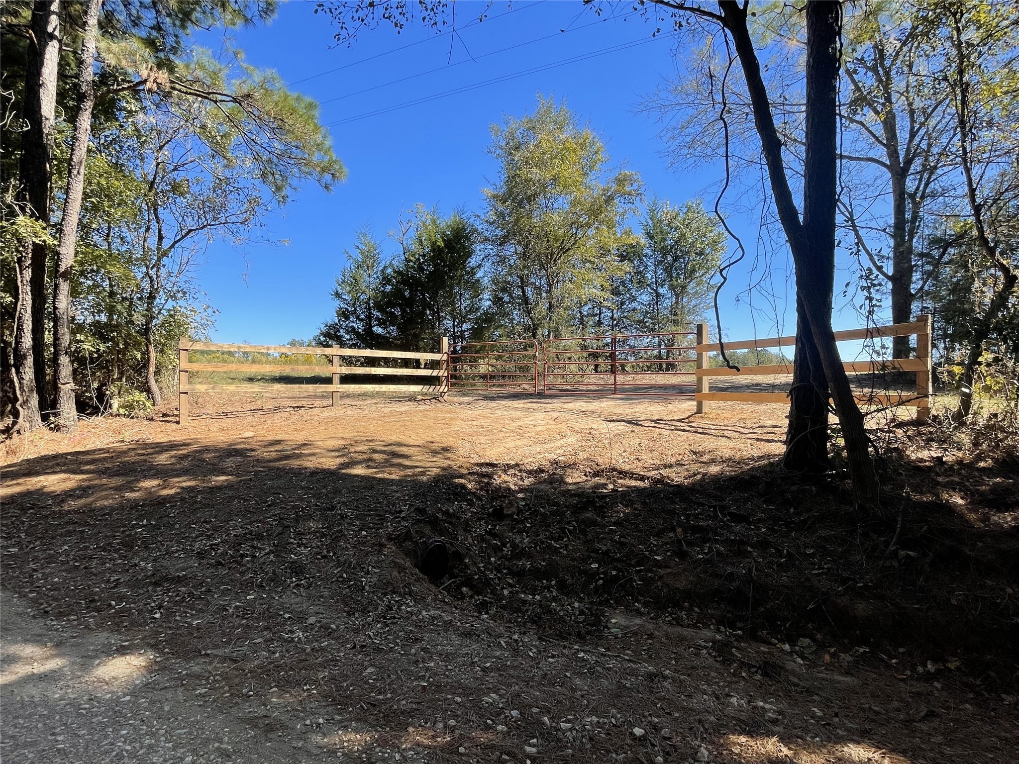 TBD-C County Road 4653, Tenaha, TX, 75974 | 20614285 | Realty Texas LLC