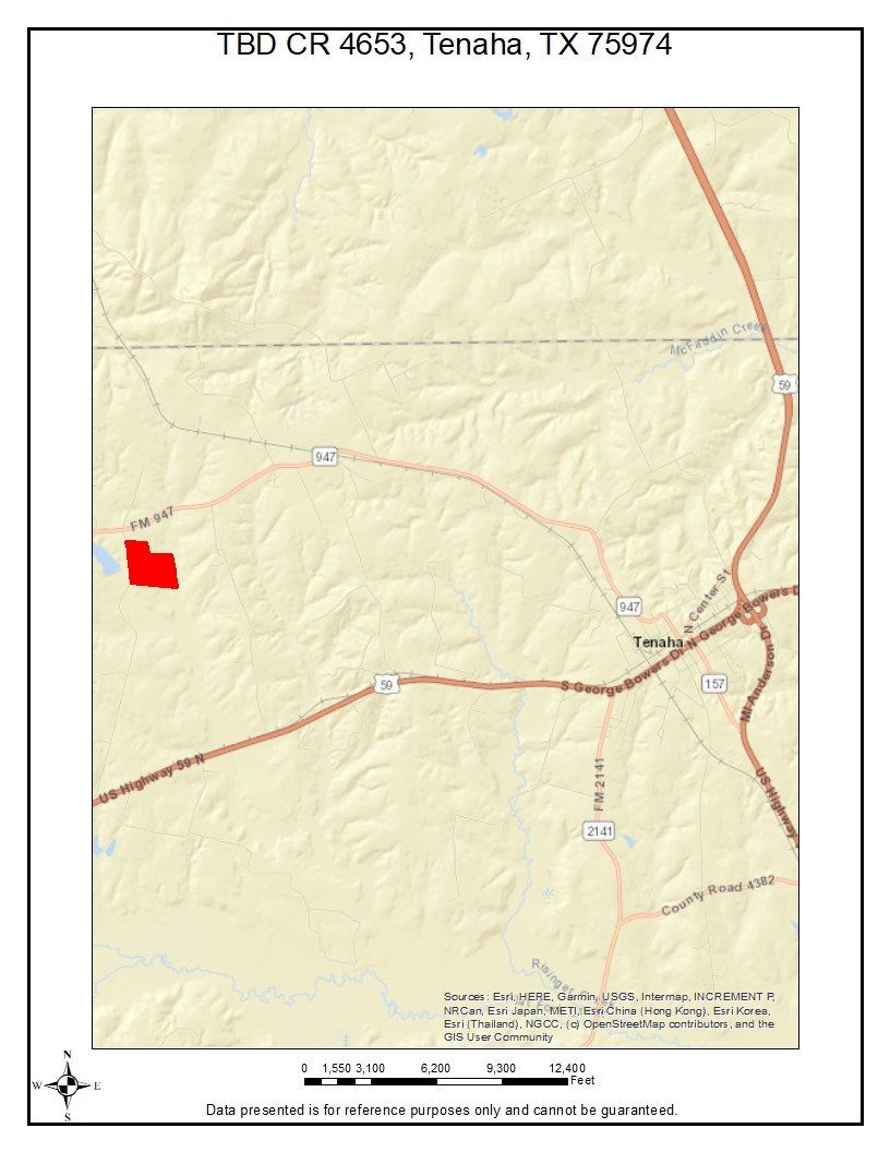 TBD-C County Road 4653, Tenaha, TX, 75974 | 20614285 | Realty Texas LLC