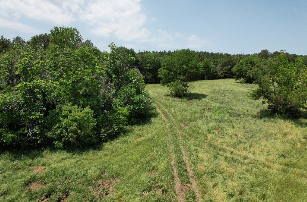 TBD-C County Road 4653, Tenaha, TX, 75974 | 20614285 | Realty Texas LLC