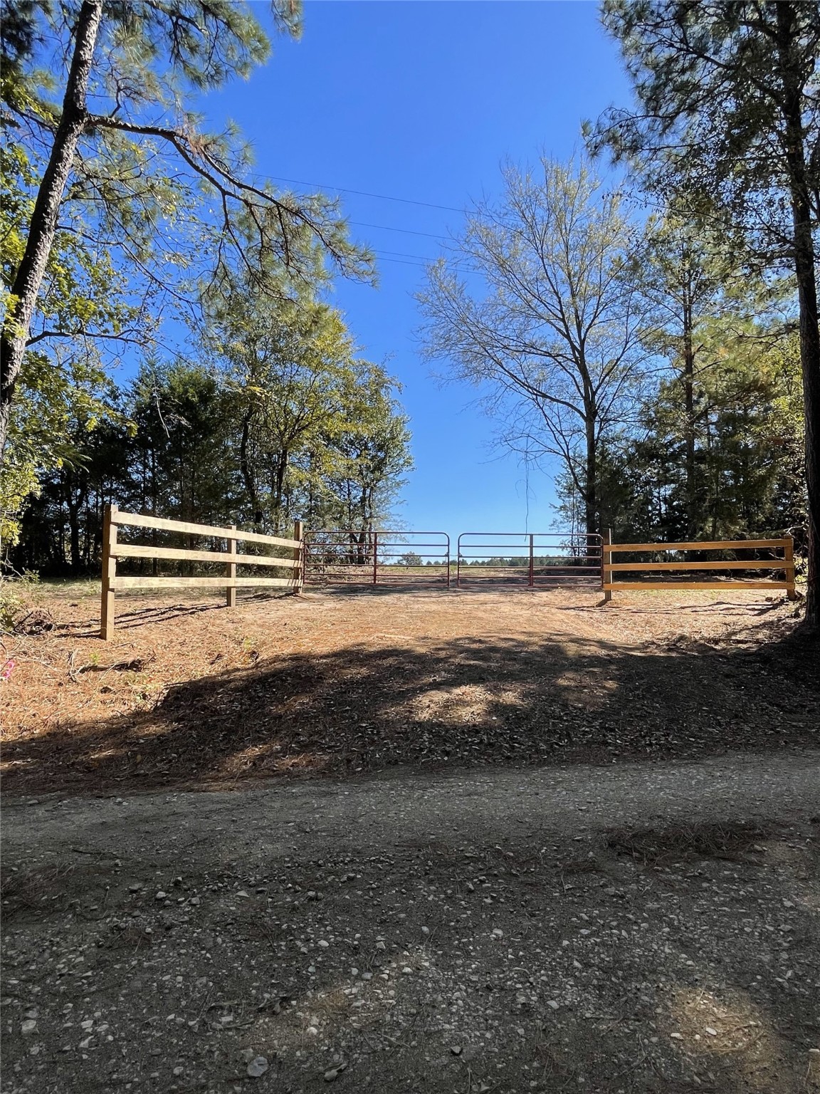 TBD-C County Road 4653, Tenaha, TX, 75974 | 20614285 | Realty Texas LLC