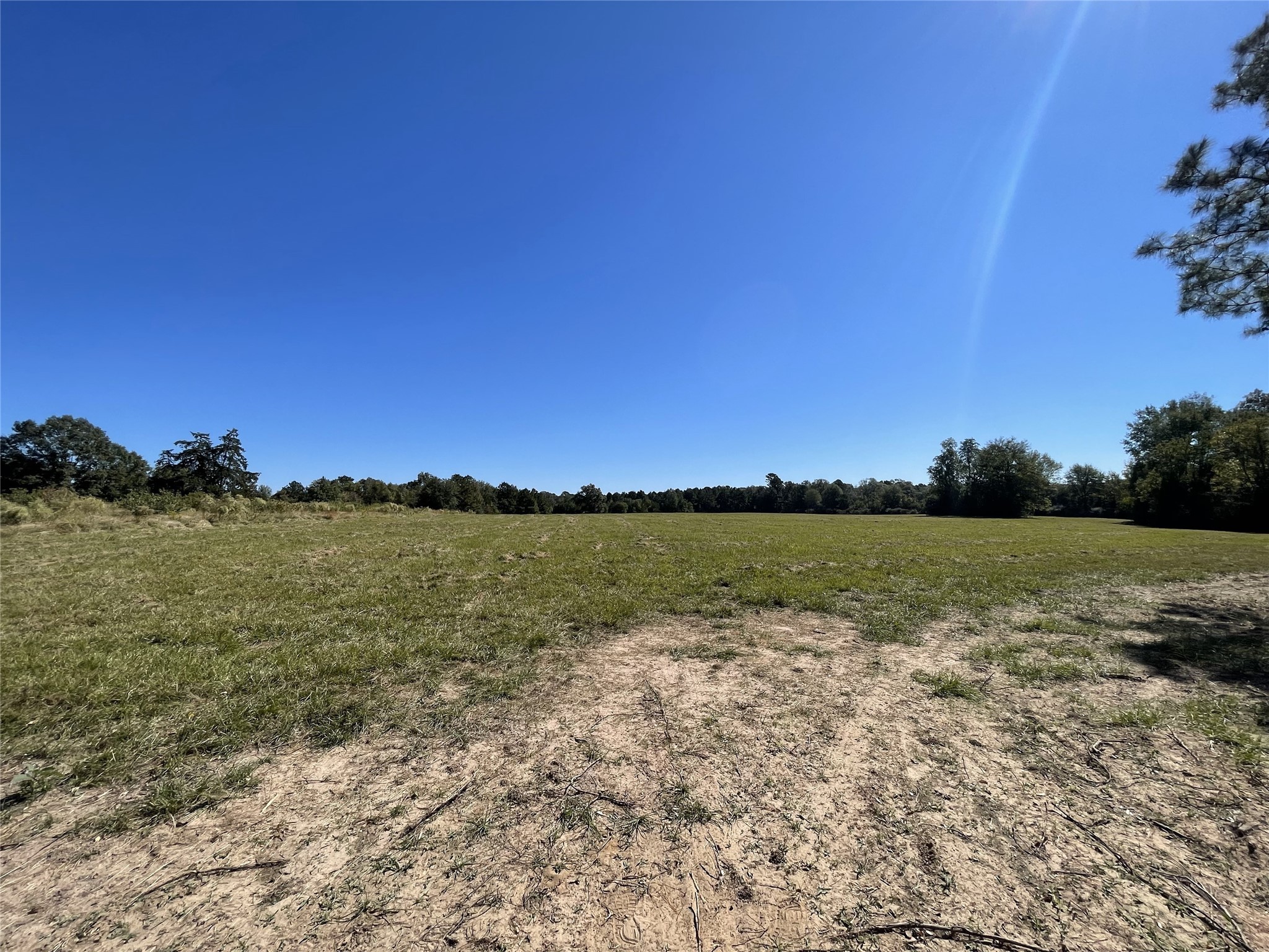 TBD-C County Road 4653, Tenaha, TX, 75974 | 20614285 | Realty Texas LLC