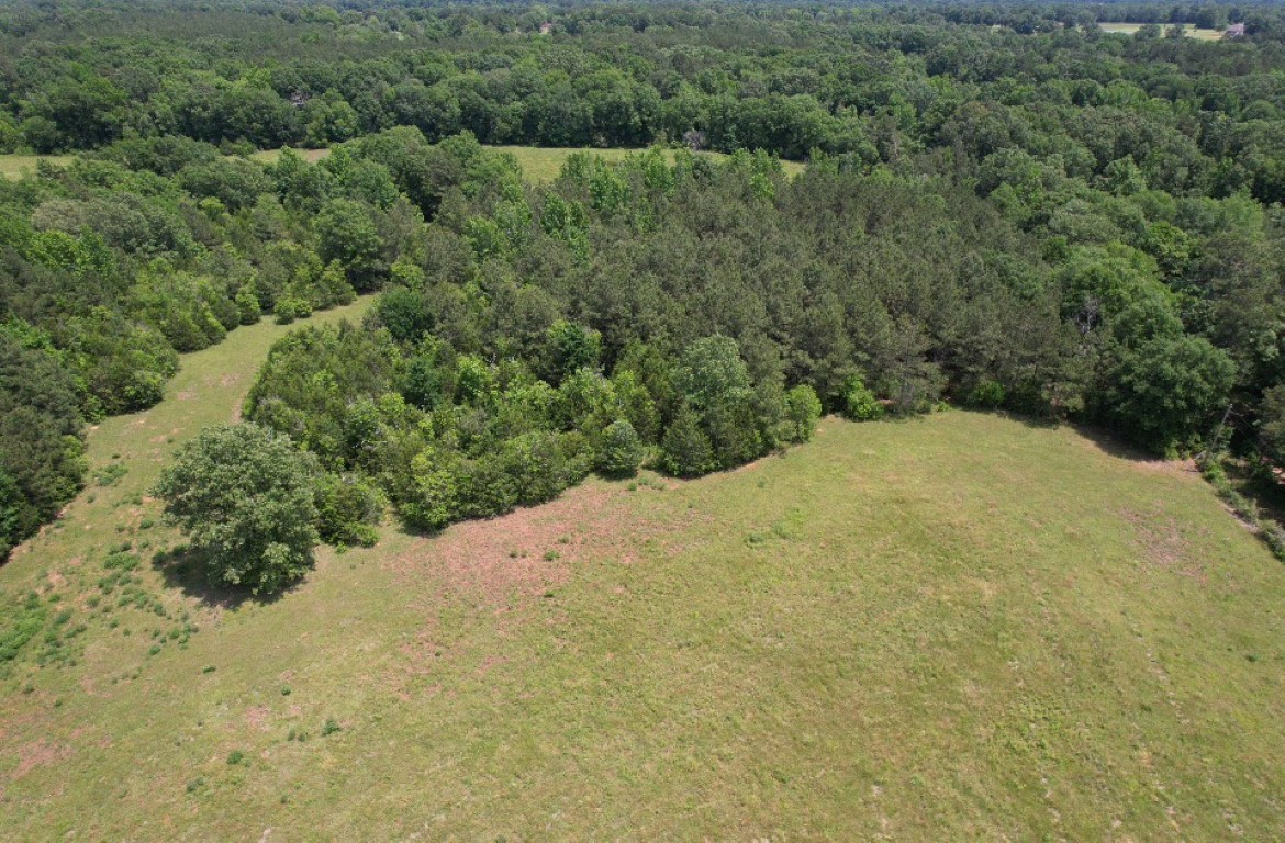 TBD-C County Road 4653, Tenaha, TX, 75974 | 20614285 | Realty Texas LLC