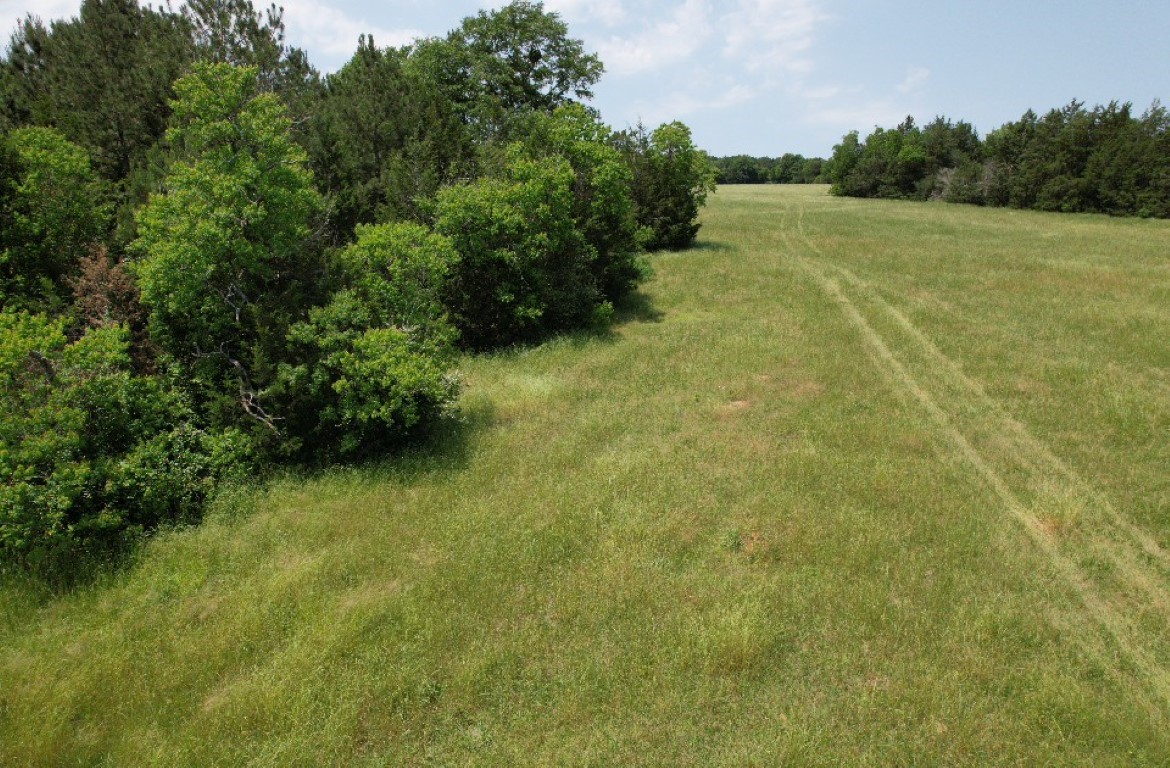 TBD-C County Road 4653, Tenaha, TX, 75974 | 20614285 | Realty Texas LLC