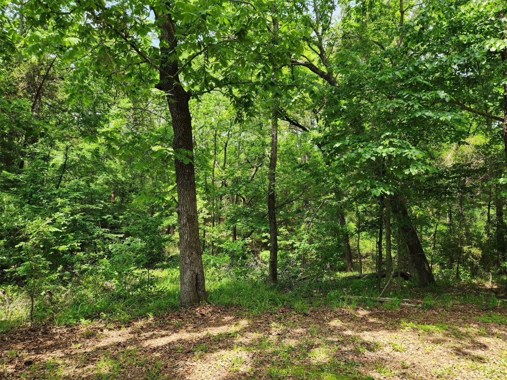 18173 CR 4225 , Frankston, TX, 75763 | 9547359 | Realty Texas LLC