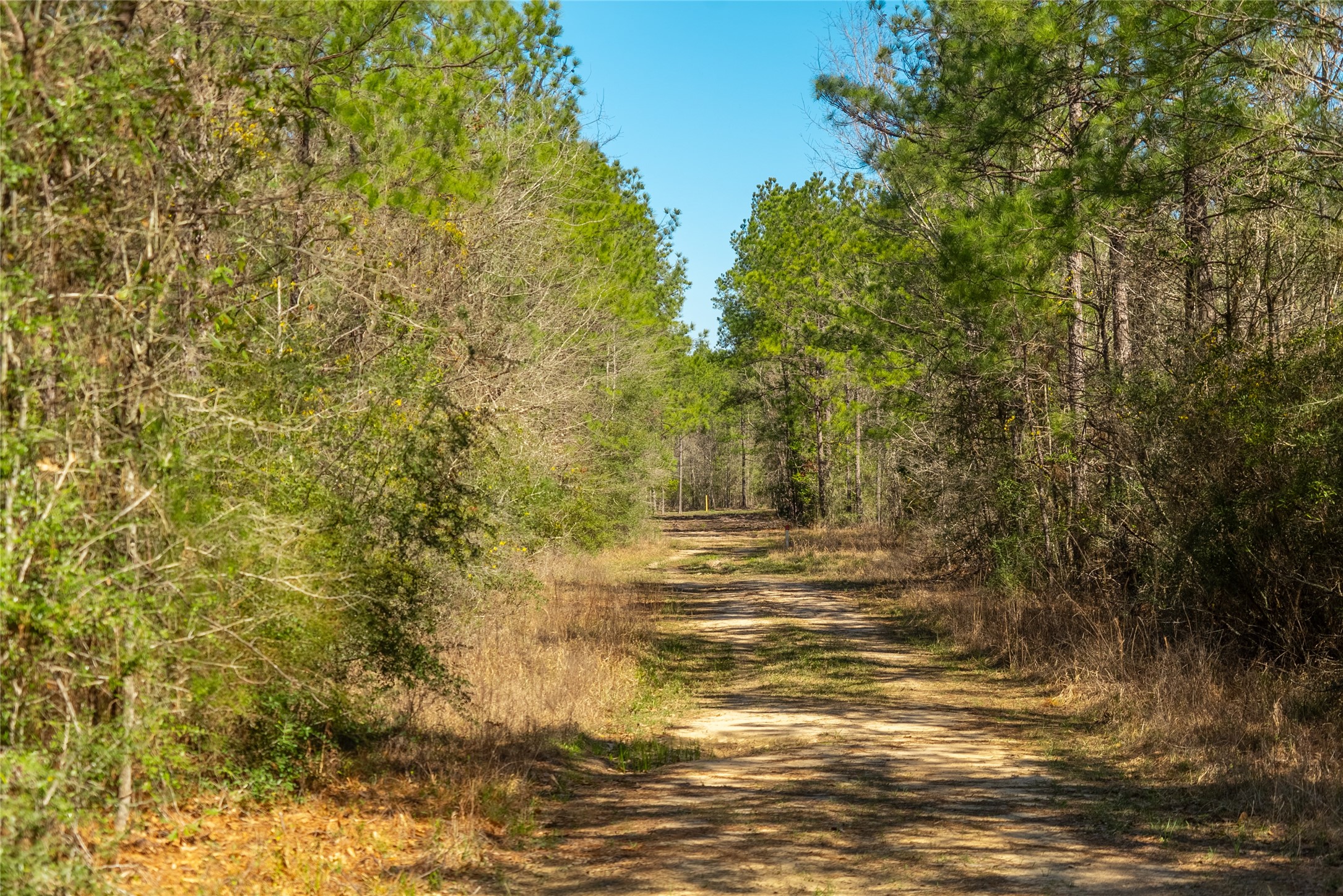 TBD County Road 716 , Jasper, TX, 77612 | 1726963 | Realty Texas LLC