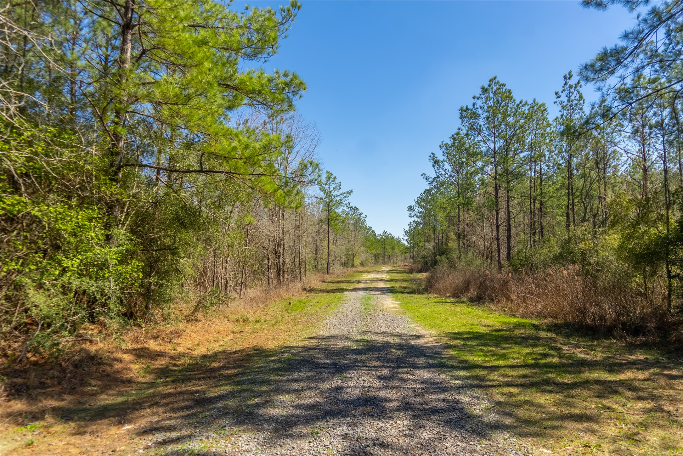 TBD County Road 716 , Jasper, TX, 77612 | 1726963 | Realty Texas LLC