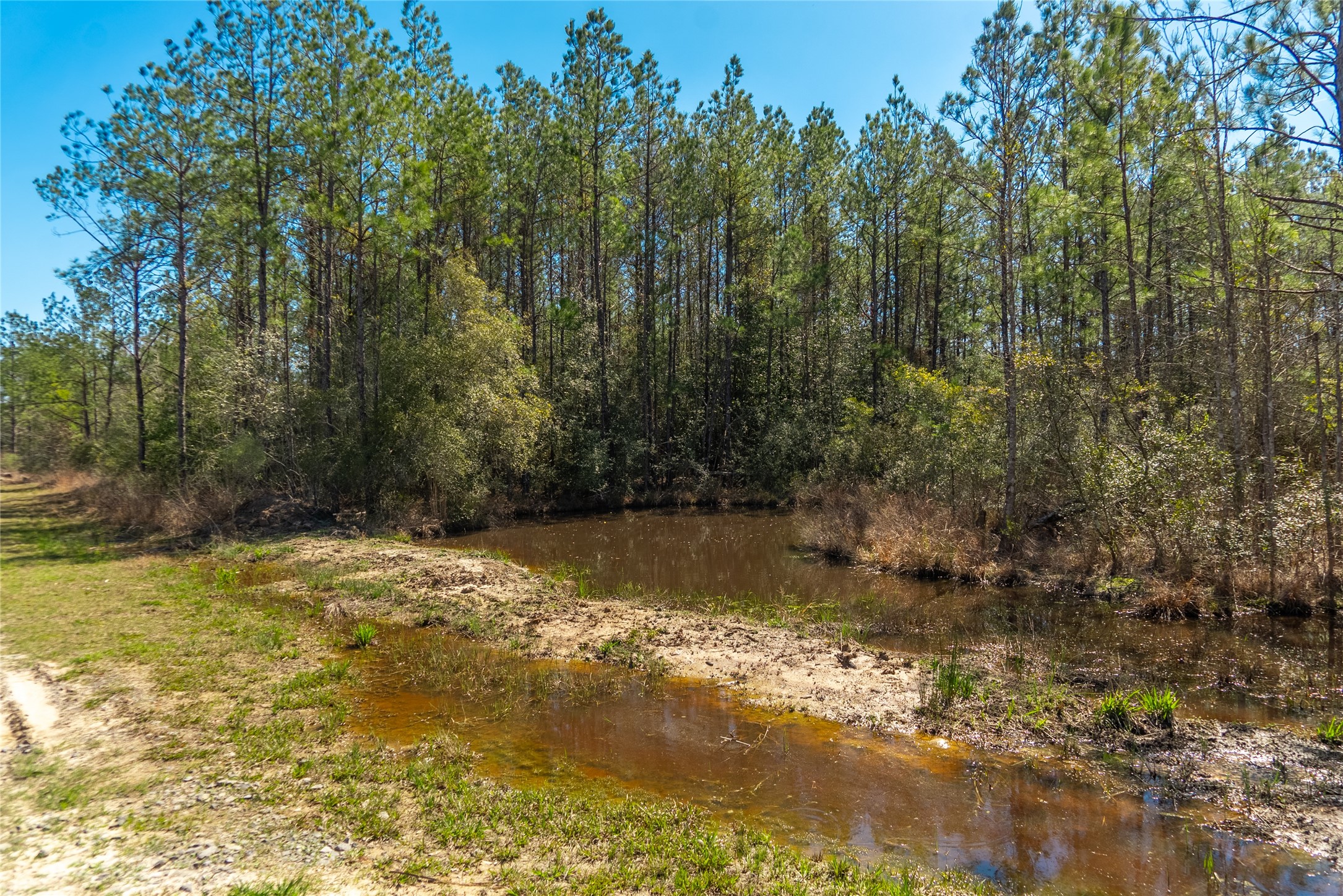 TBD County Road 716 , Jasper, TX, 77612 | 1726963 | Realty Texas LLC