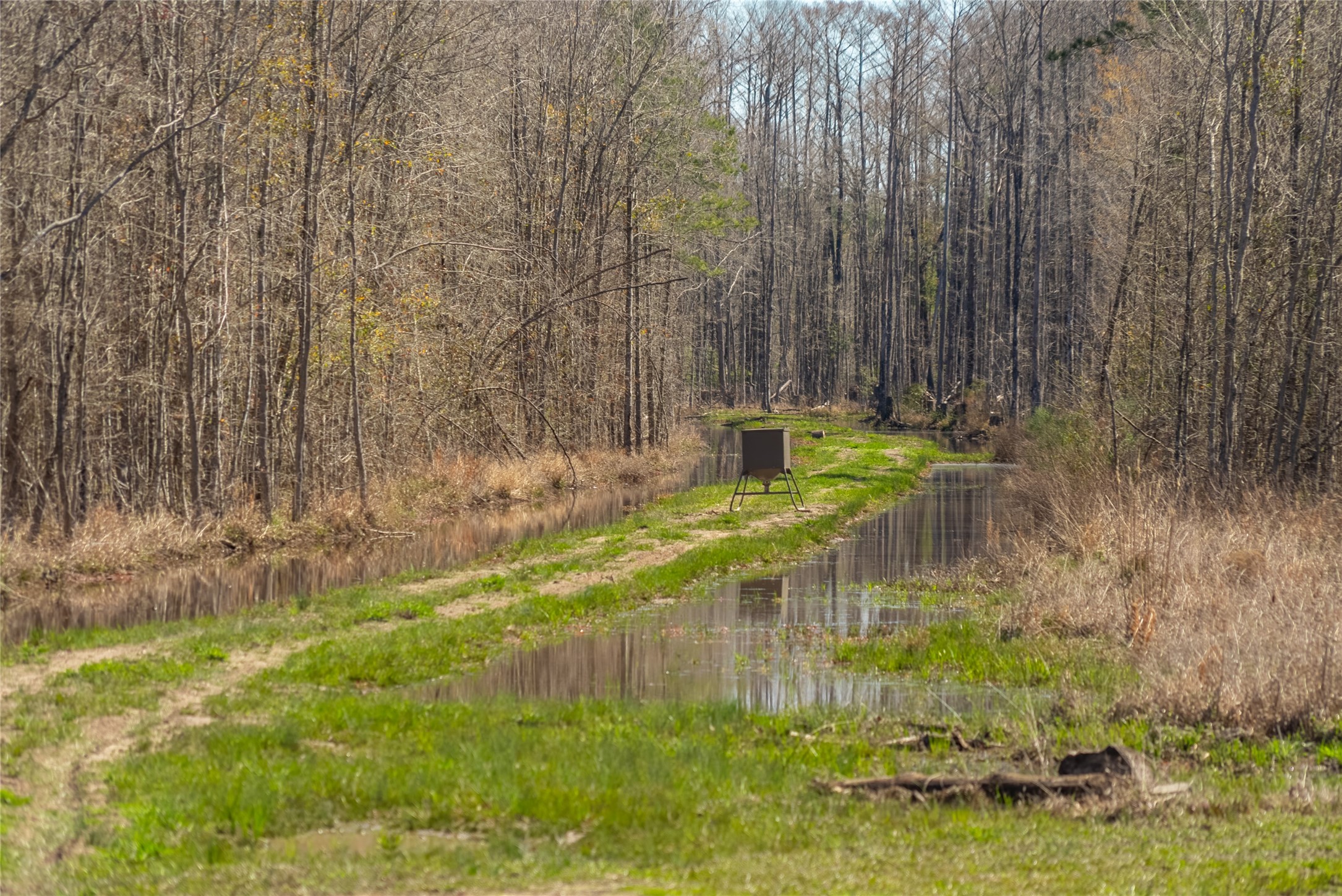 TBD County Road 716 , Jasper, TX, 77612 | 1726963 | Realty Texas LLC