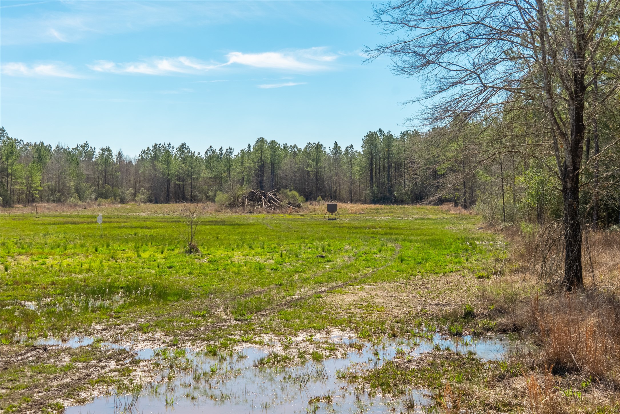 TBD County Road 716 , Jasper, TX, 77612 | 1726963 | Realty Texas LLC