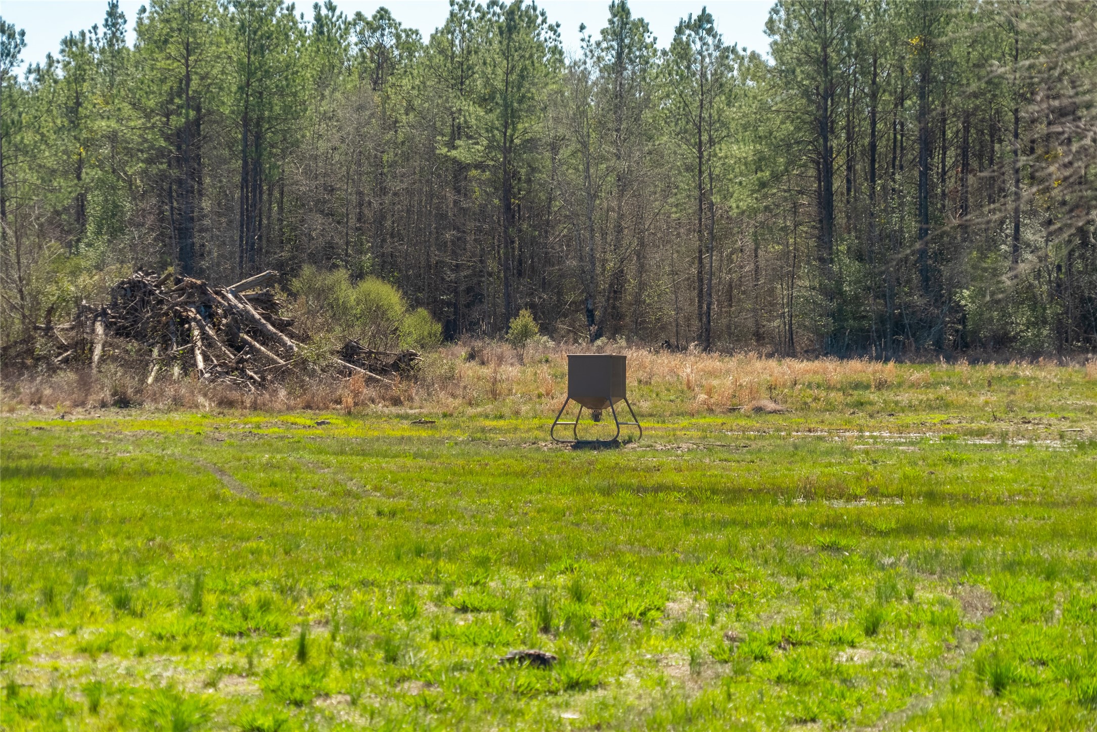 TBD County Road 716 , Jasper, TX, 77612 | 1726963 | Realty Texas LLC